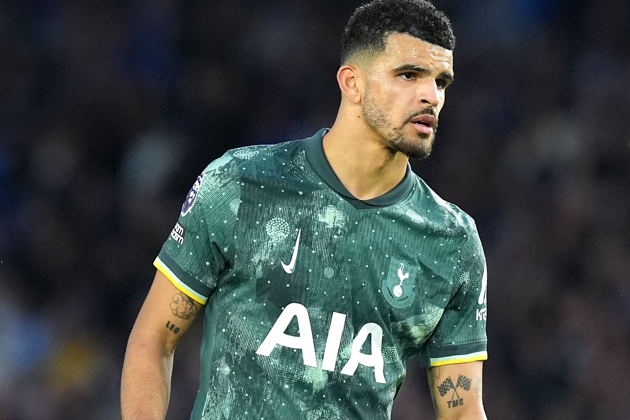 Dominic Solanke has quickly become a key figure for Tottenham (Gareth Fuller/PA)