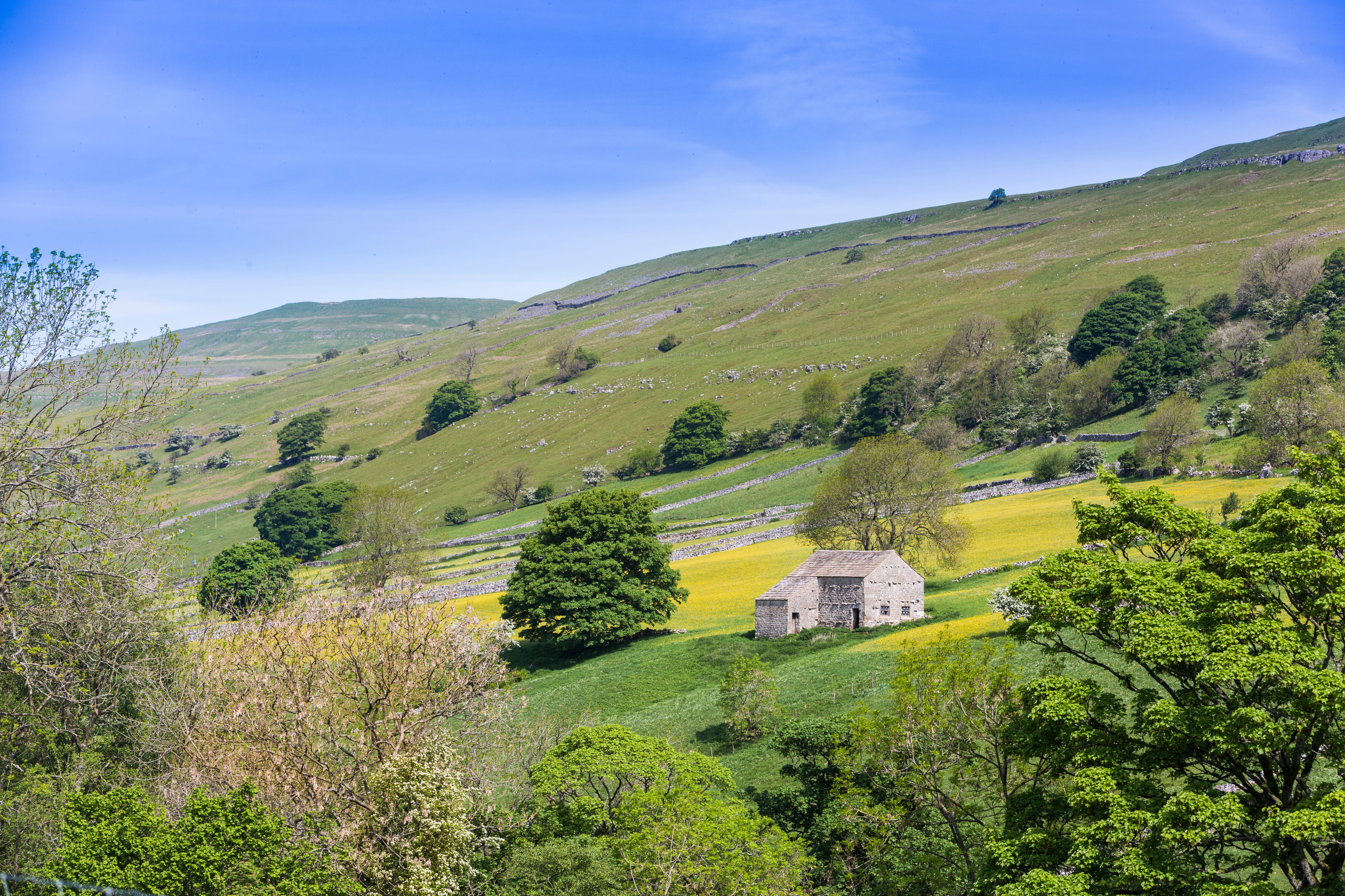 Conservative MPs have urged the Chancellor not to cut the budget for nature-friendly farming, saying it would threaten farmers’ livelihoods and make hitting targets on restoring nature more difficult. (Yorkshire Dales National Park Authority via PA)