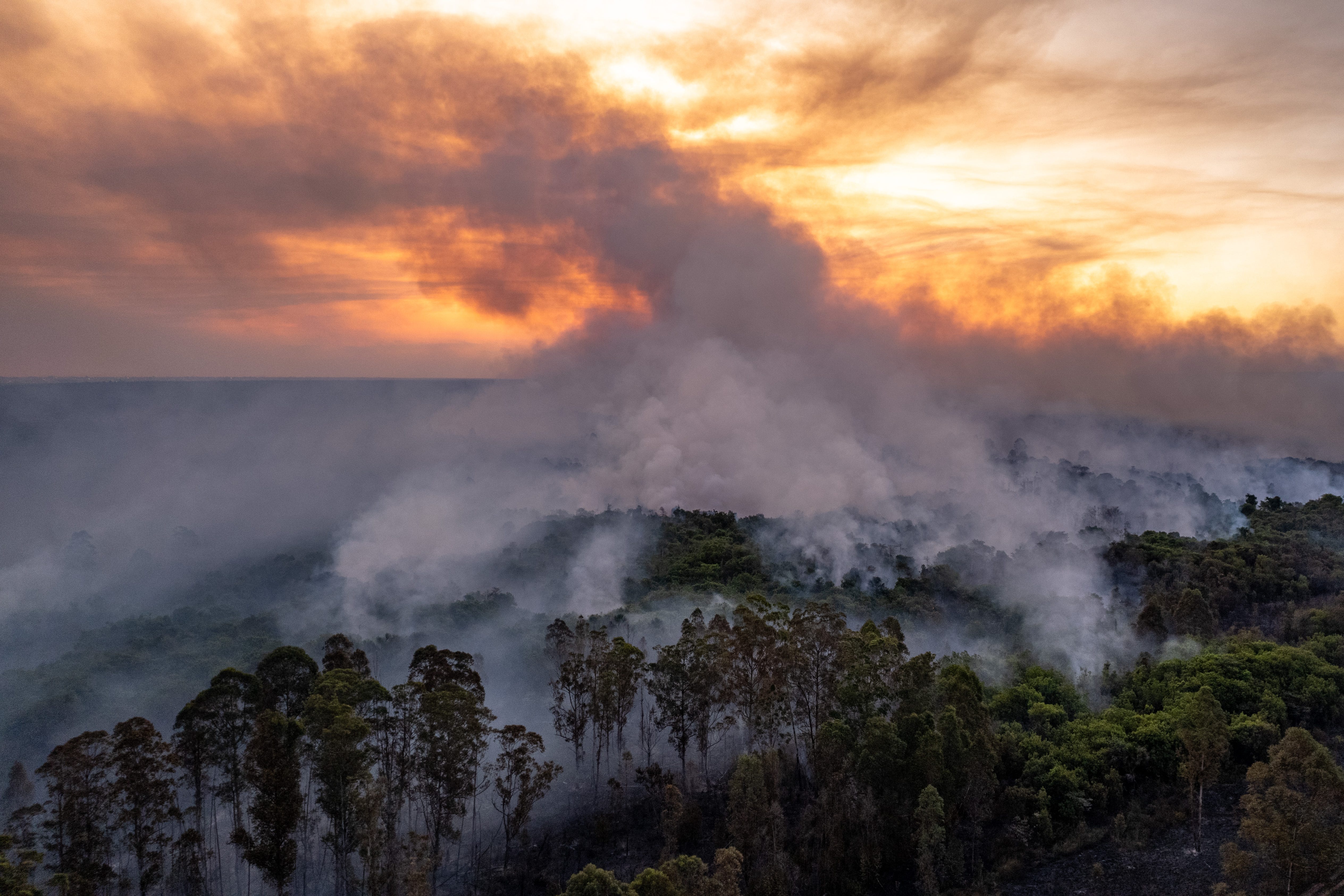 Fires that hit Brasilia National Park in September (Jaqueline Lisboa/WWF-Brazil)