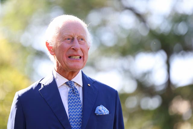 <p>King Charles during a ceremonial planting of eucalyptus trees in the garden of Government House in Canberra, Australia, on 21 October 2024  </p>