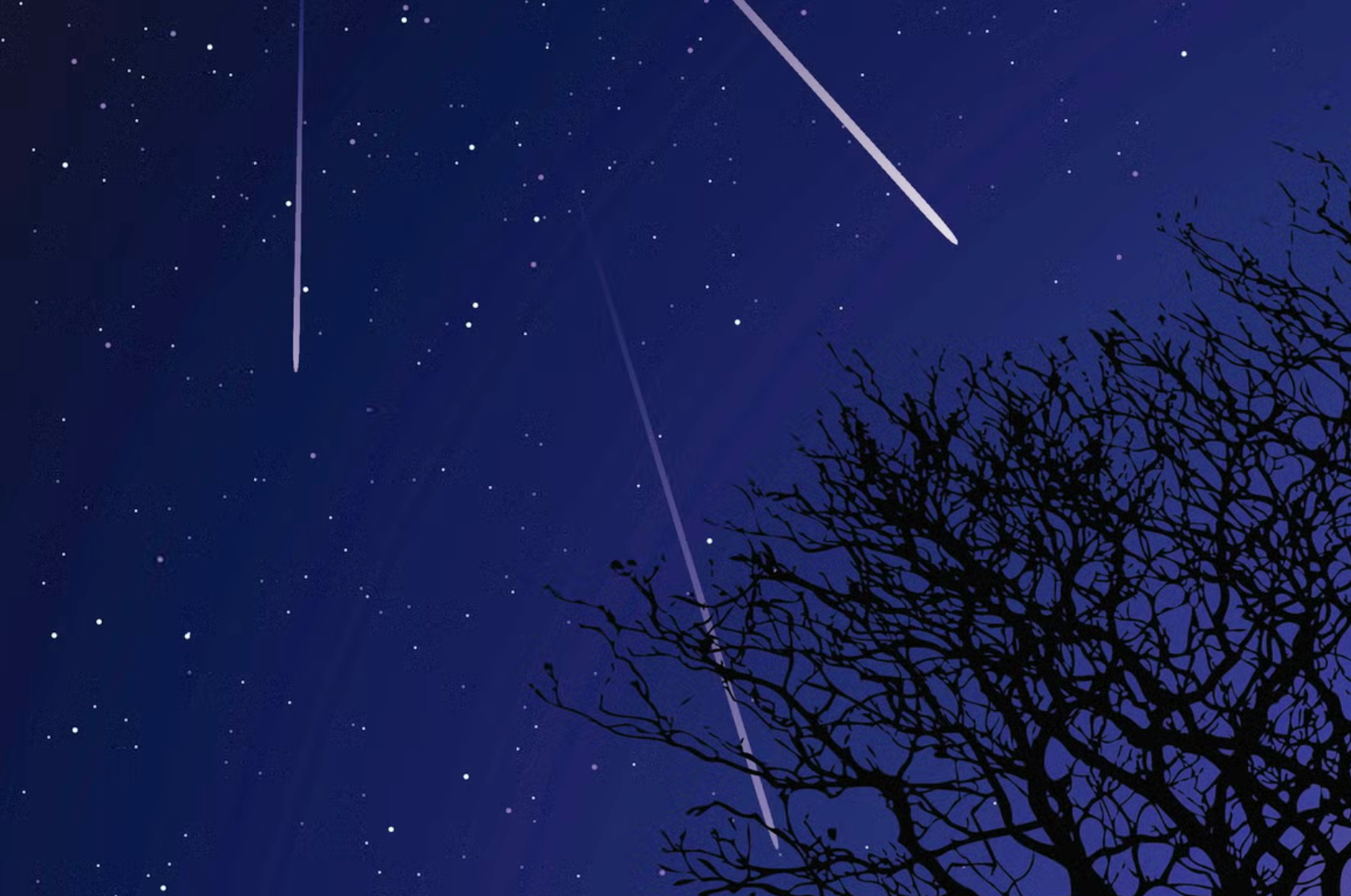 The Orionid meteor shower will peak on the evening of 21 October, 2024, in one of the strongest displays of shooting stars this year