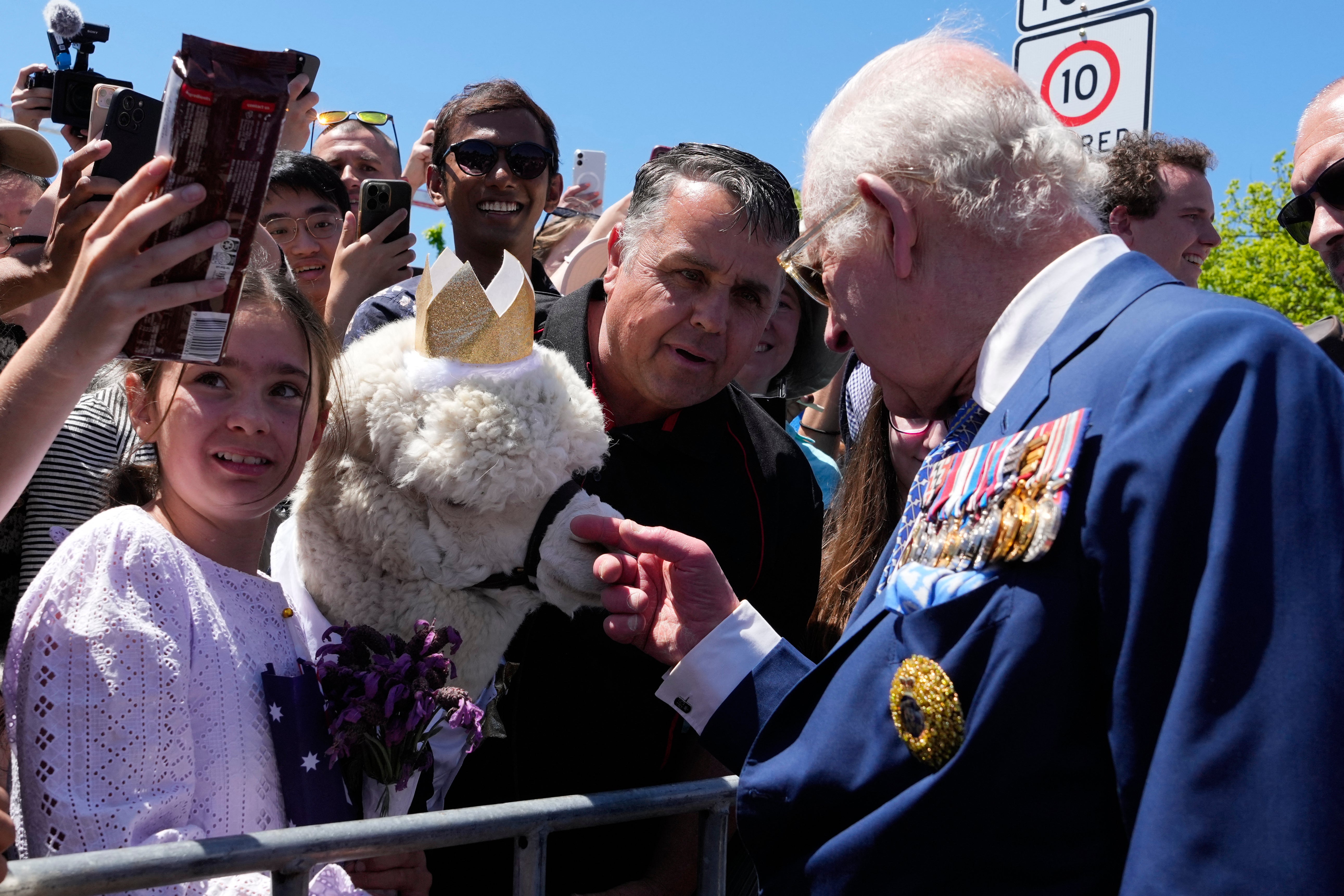 Hephner was described a a ‘pro-monarchy’ alpaca by his owner.