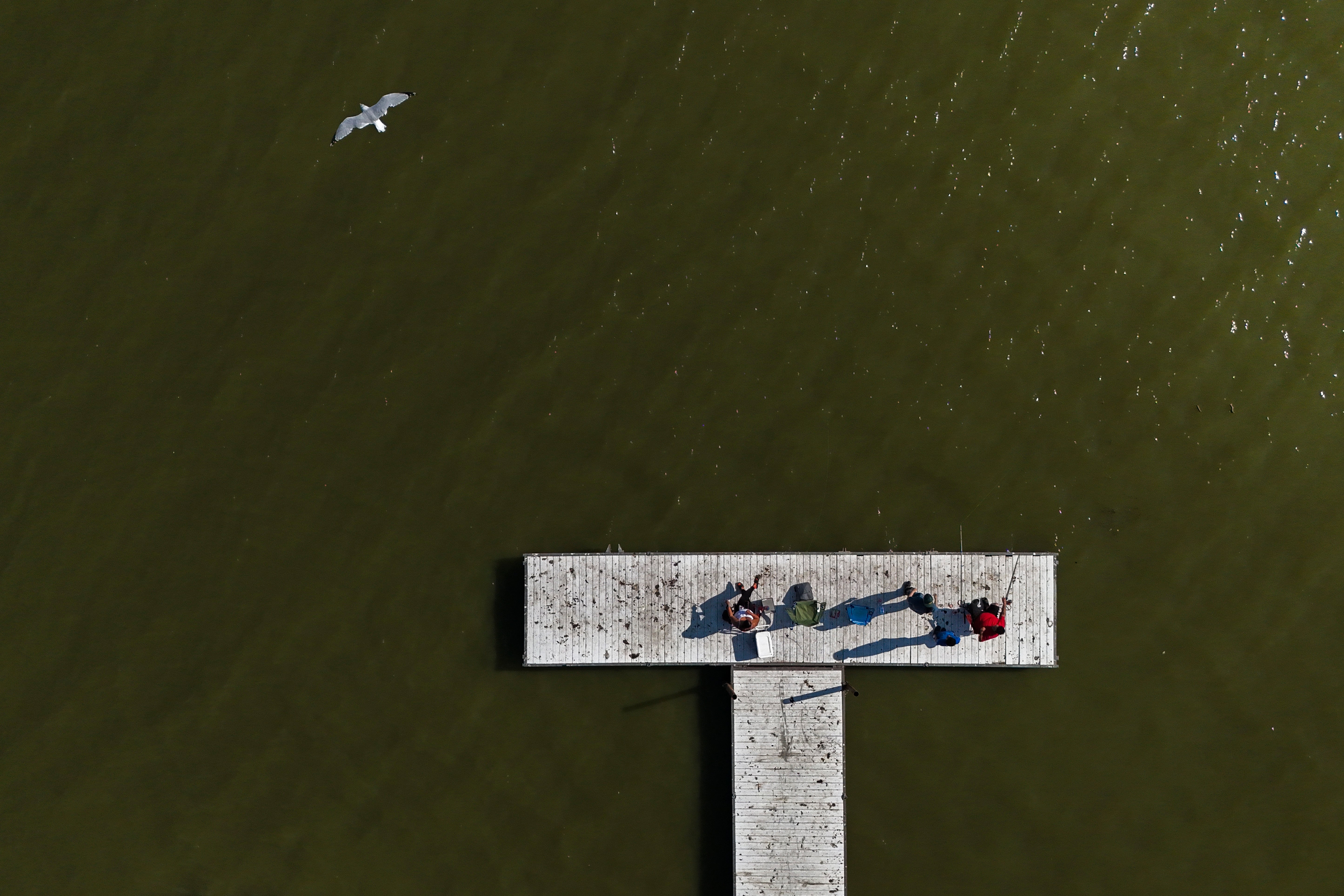 Climate Algae Blooms Research