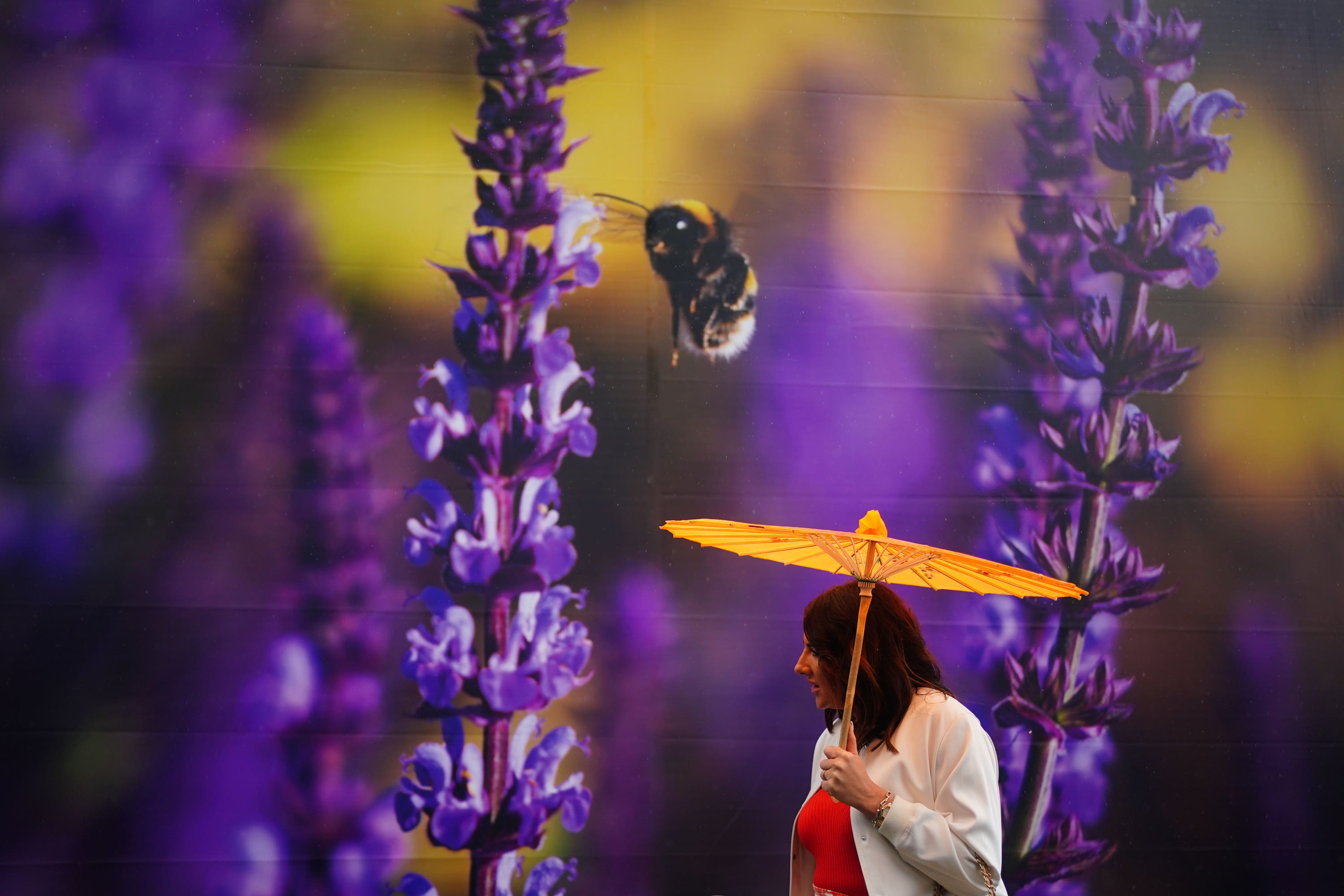 An AI-assisted garden will form part of next year’s Chelsea Flower Show (PA)