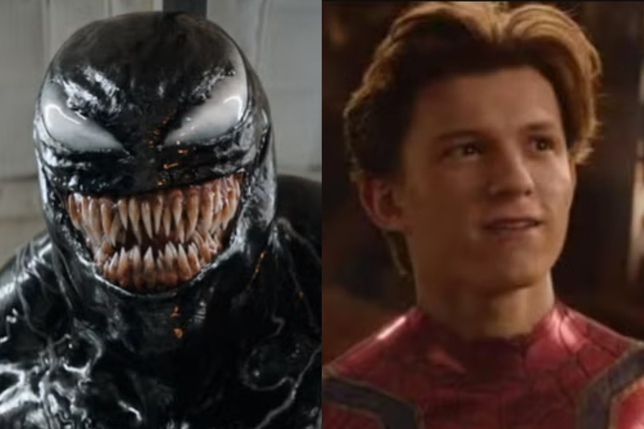 Venom and Tom Holland as Spider-Man