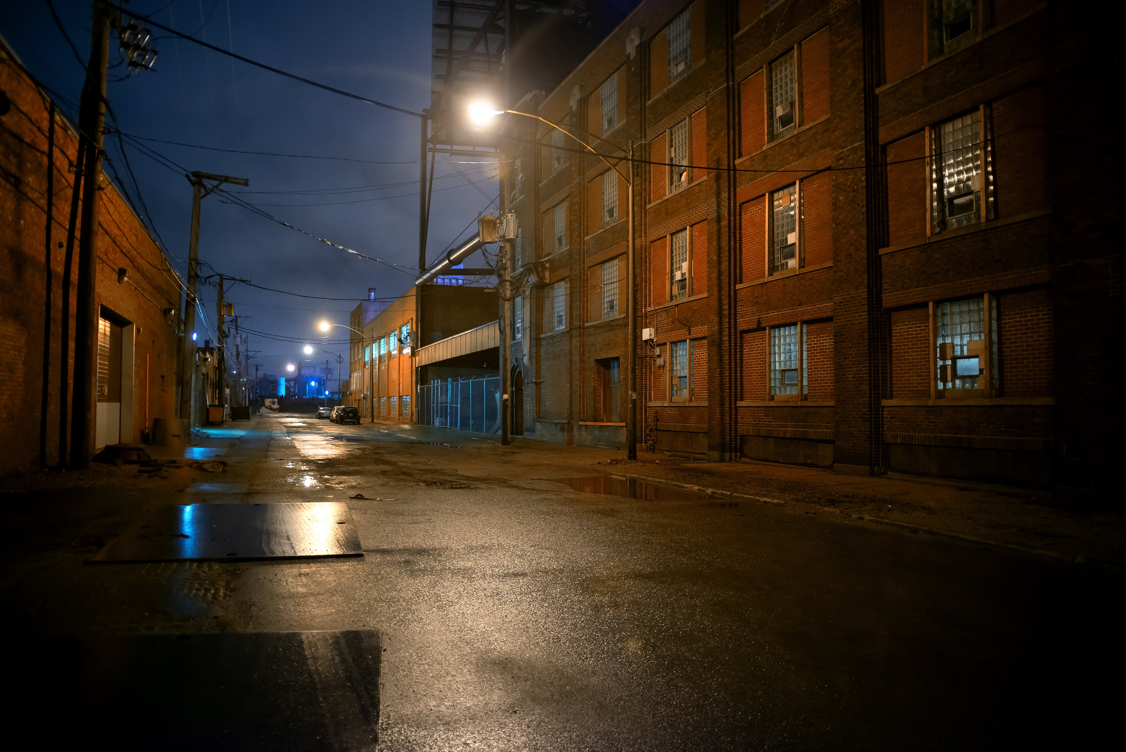 Chicago’s ‘abundance of alleys’ serve as the perfect refuge for the rodents