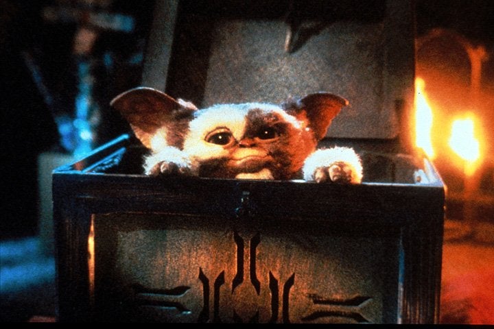 Spielberg’s favourite: Gizmo, the lovable, non-lethal mogwai says hello