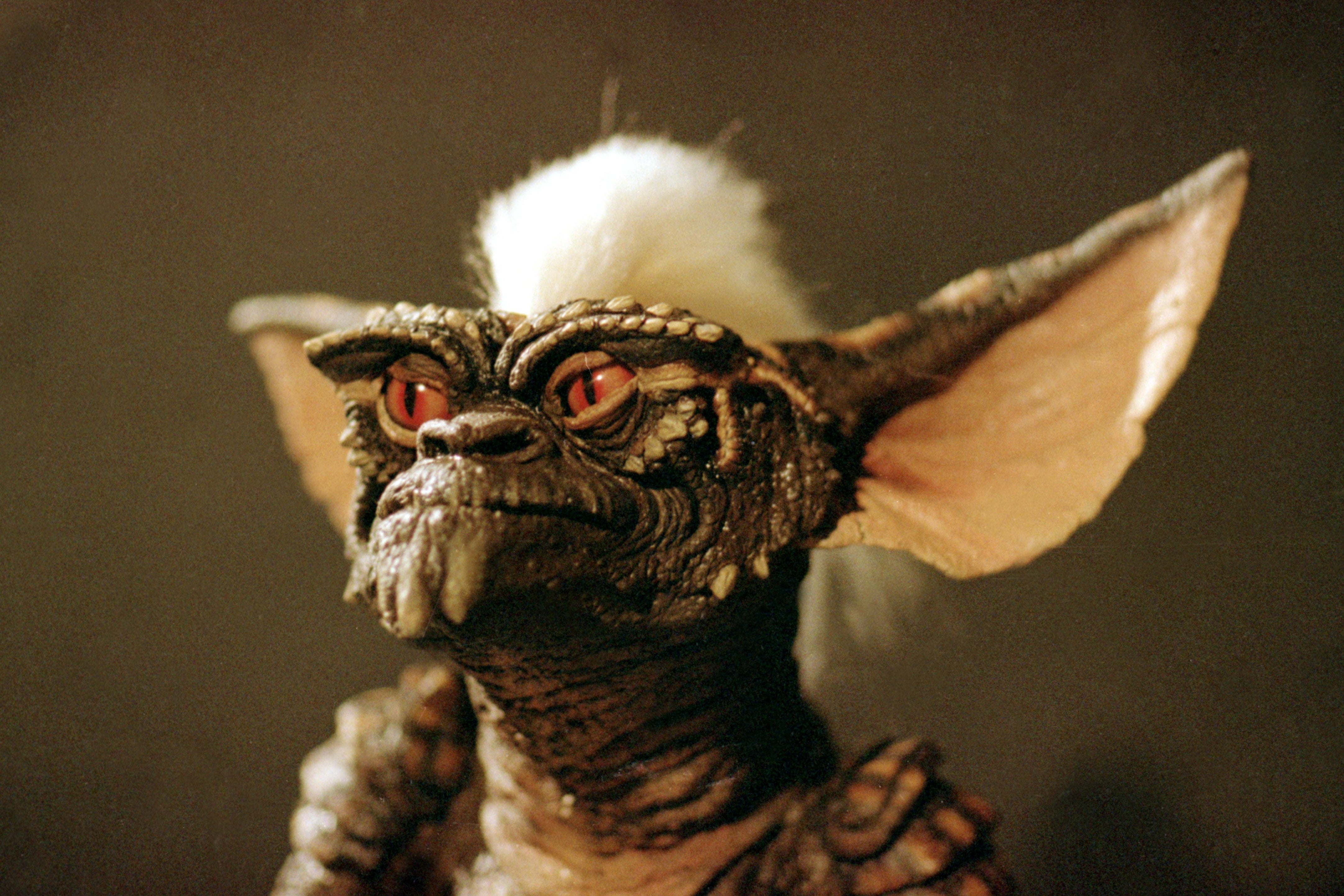 Stripe the mogwai in ‘Gremlins’