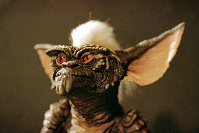 <p>Stripe the mogwai in ‘Gremlins’</p>