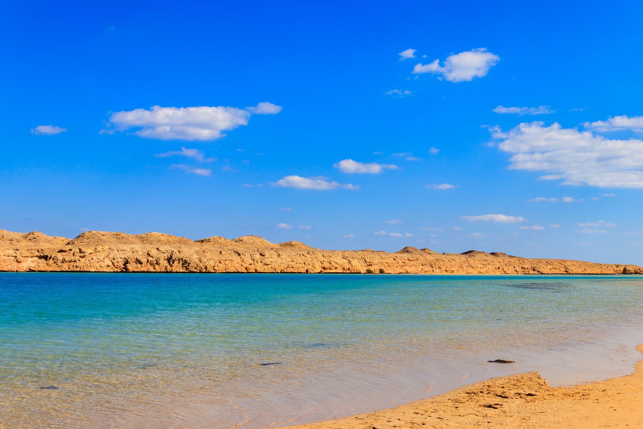 Ras Mohammed National Park is one of the best places to explore the Red Sea Reef