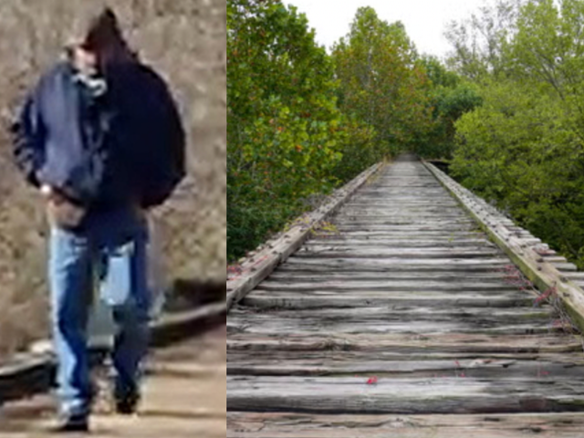 <p>A grainy image of a man who came known to be ‘Bridge Guy’ was taken from the video and released by Indiana State Police following the murders in an effort to track down the suspect</p>