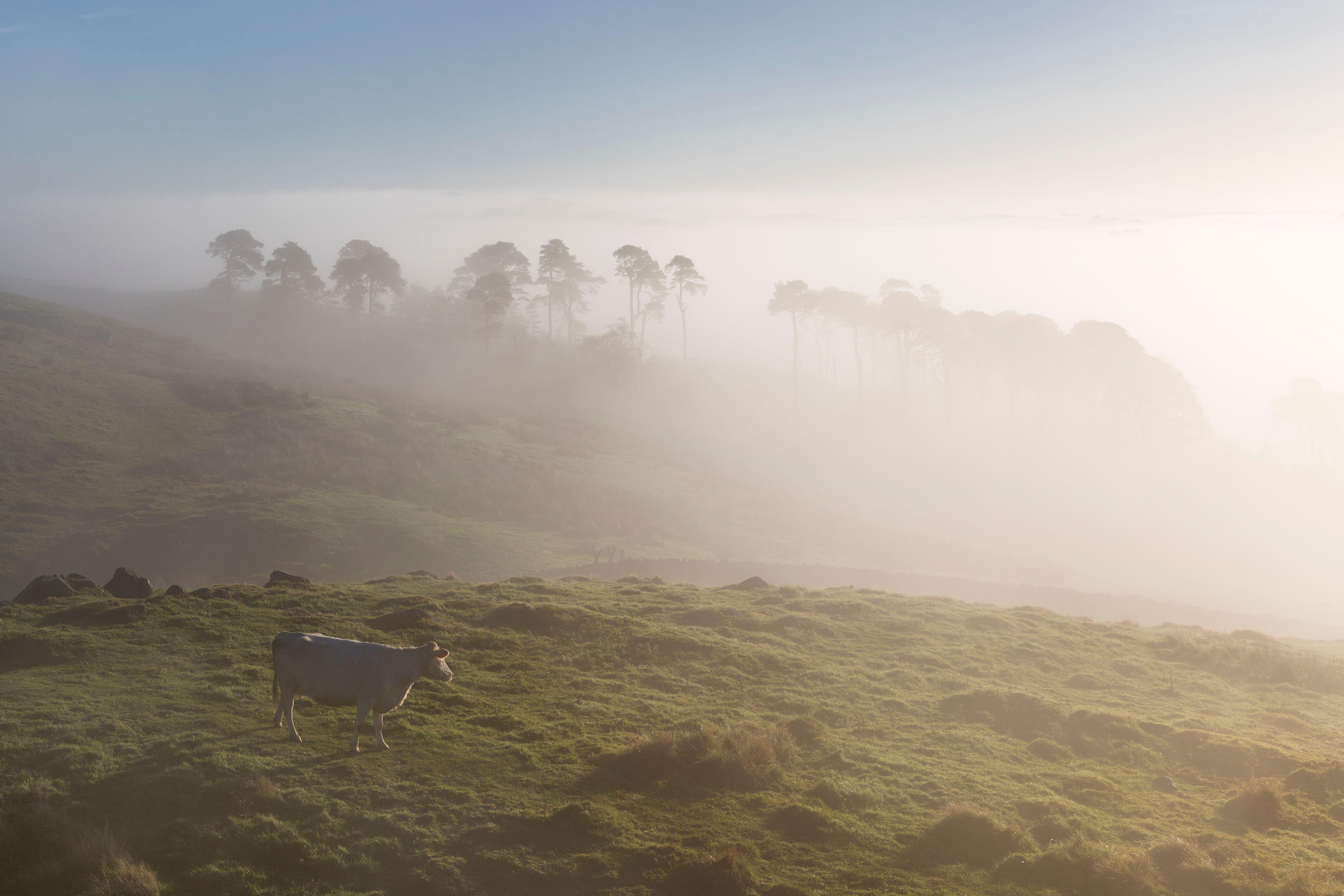 Turning the clocks back moves an hour of sunlight from the evenings to the mornings