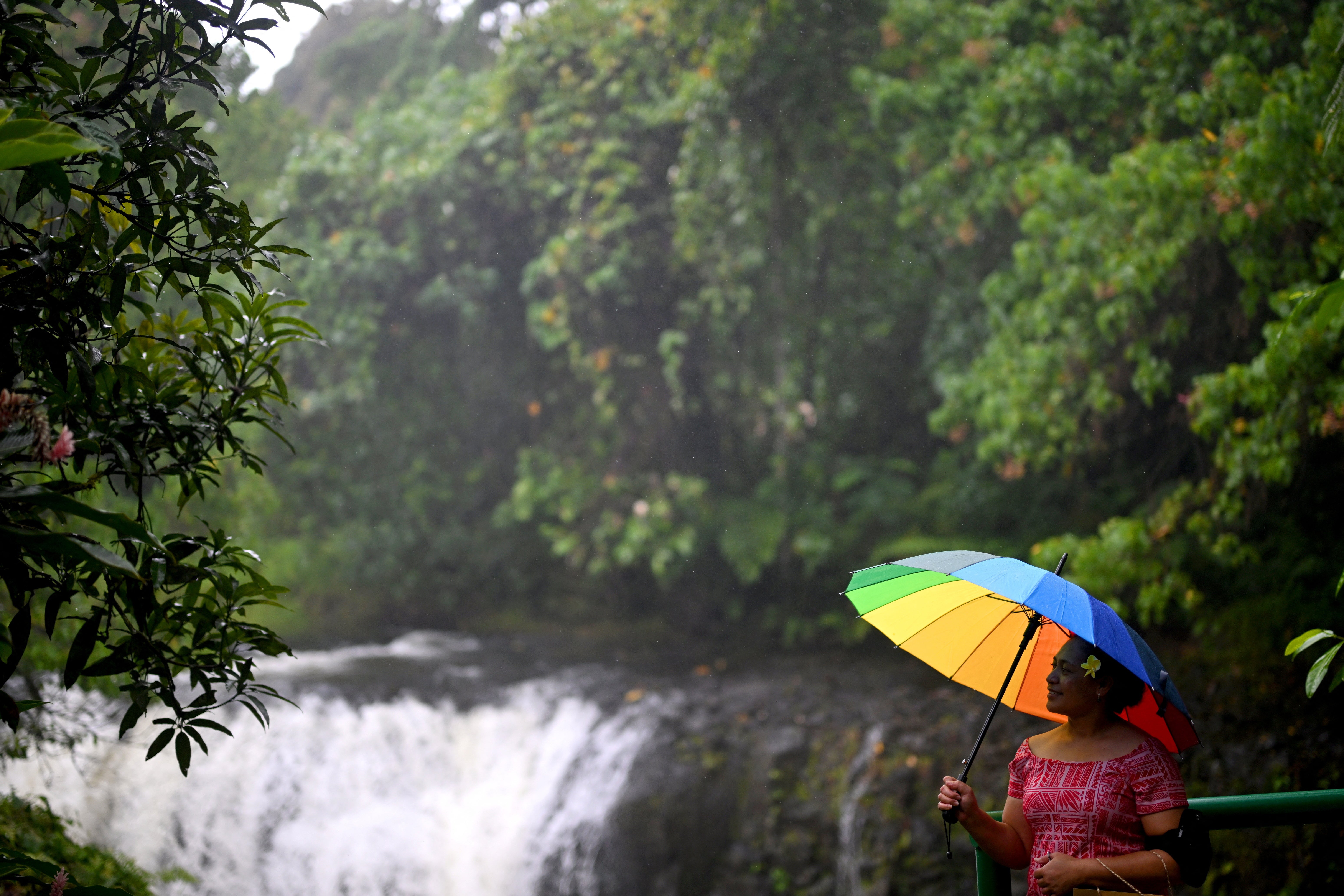 A person waits for King Charles to visit O Le Pupu-Pue National Park, in Samoa on 24 October 2024