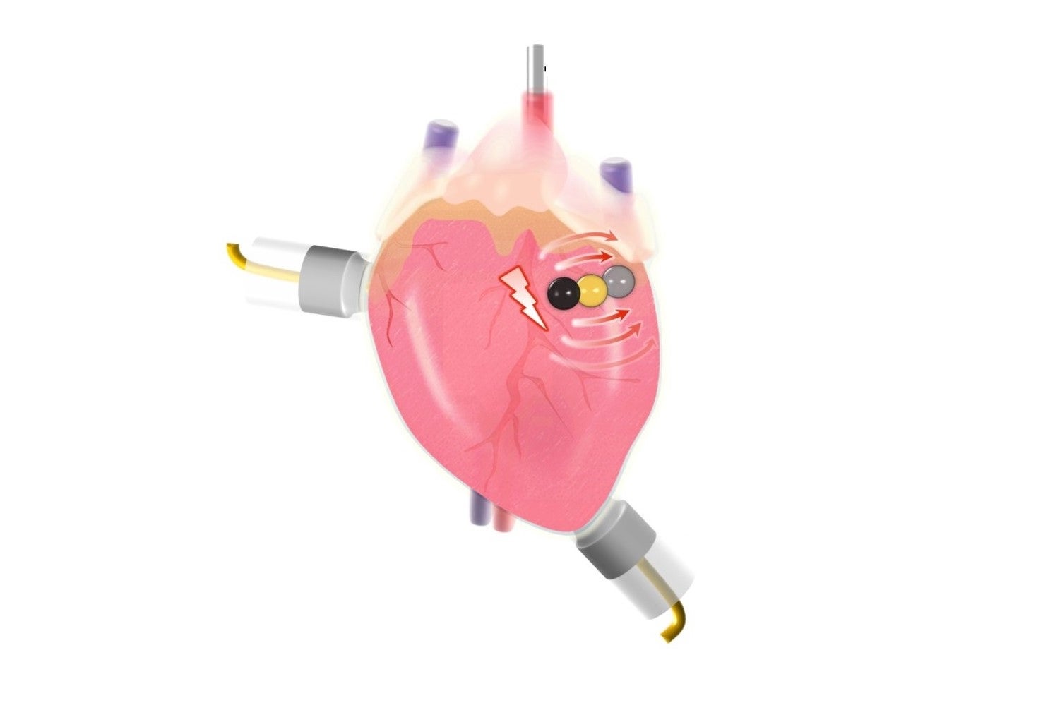 The tiny battery features capabilities useful for biomedical applications, including powering drug molecule release and heart defibrillation