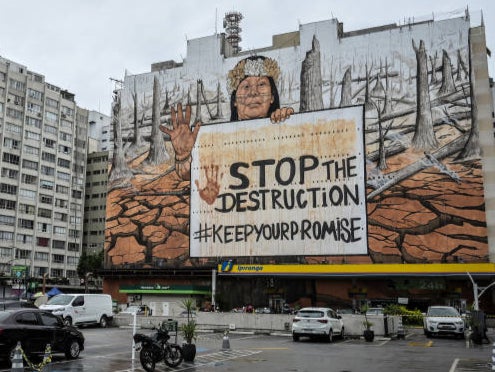 There have been protests in Brazil over destruction of Amazon rainforests and the effect on indigenous people