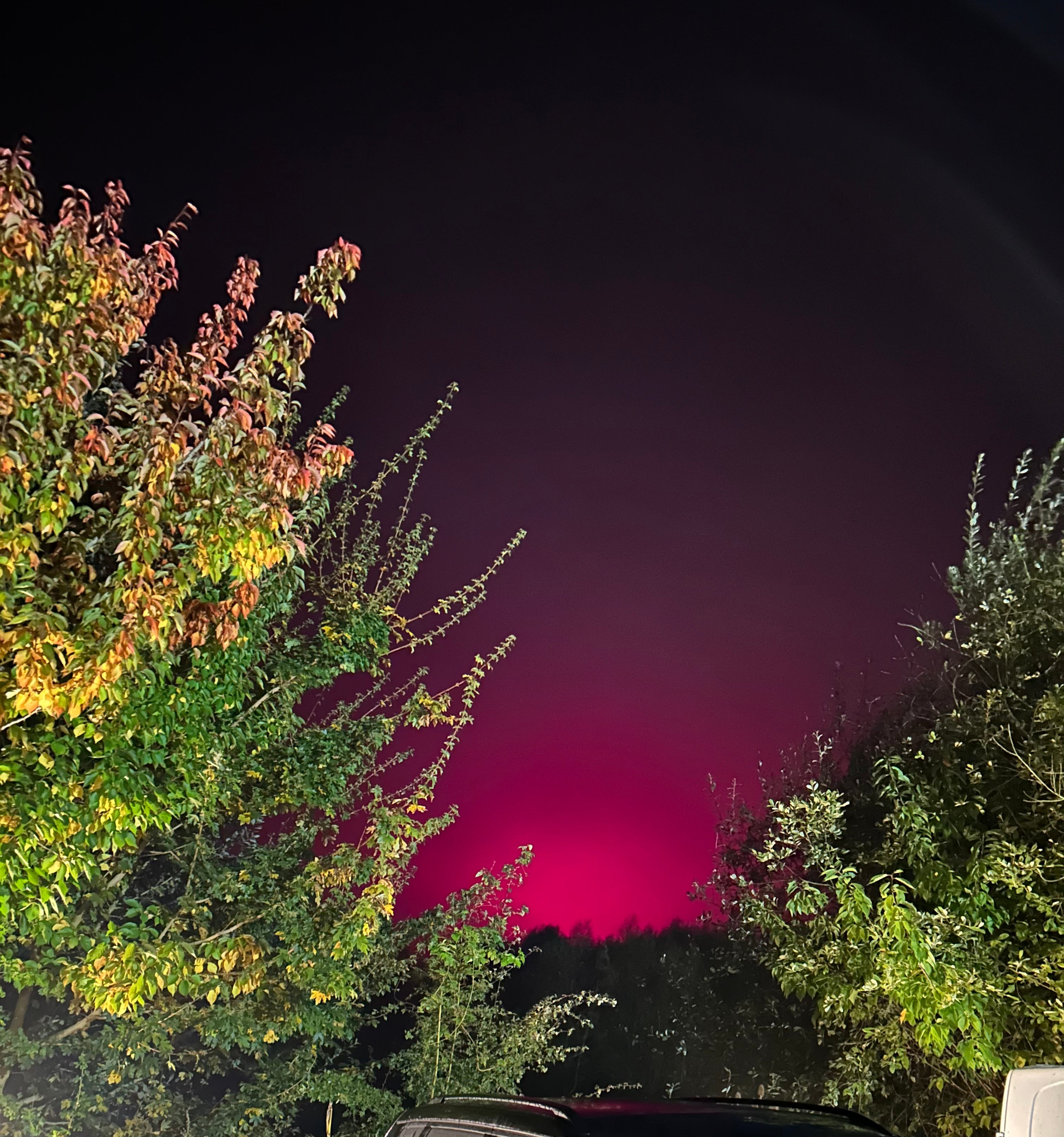 Ms Harrison stopped to take the pictures of the ‘aurora’ before realising the glow came from a nearby tomato factory