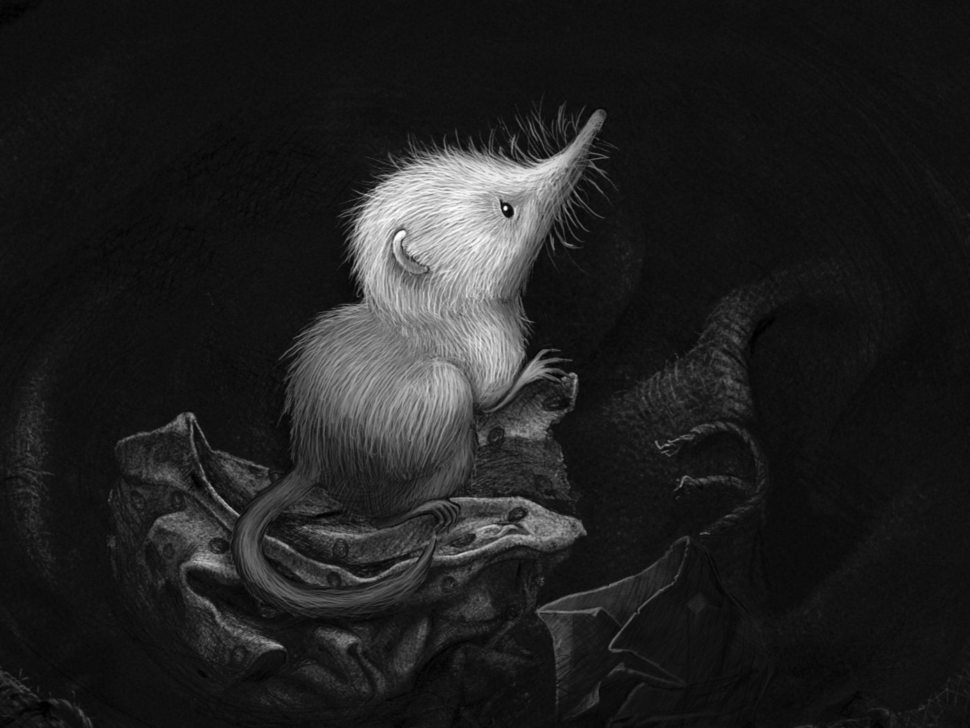 Kate Bush’s illustration for ‘The Little Shrew'