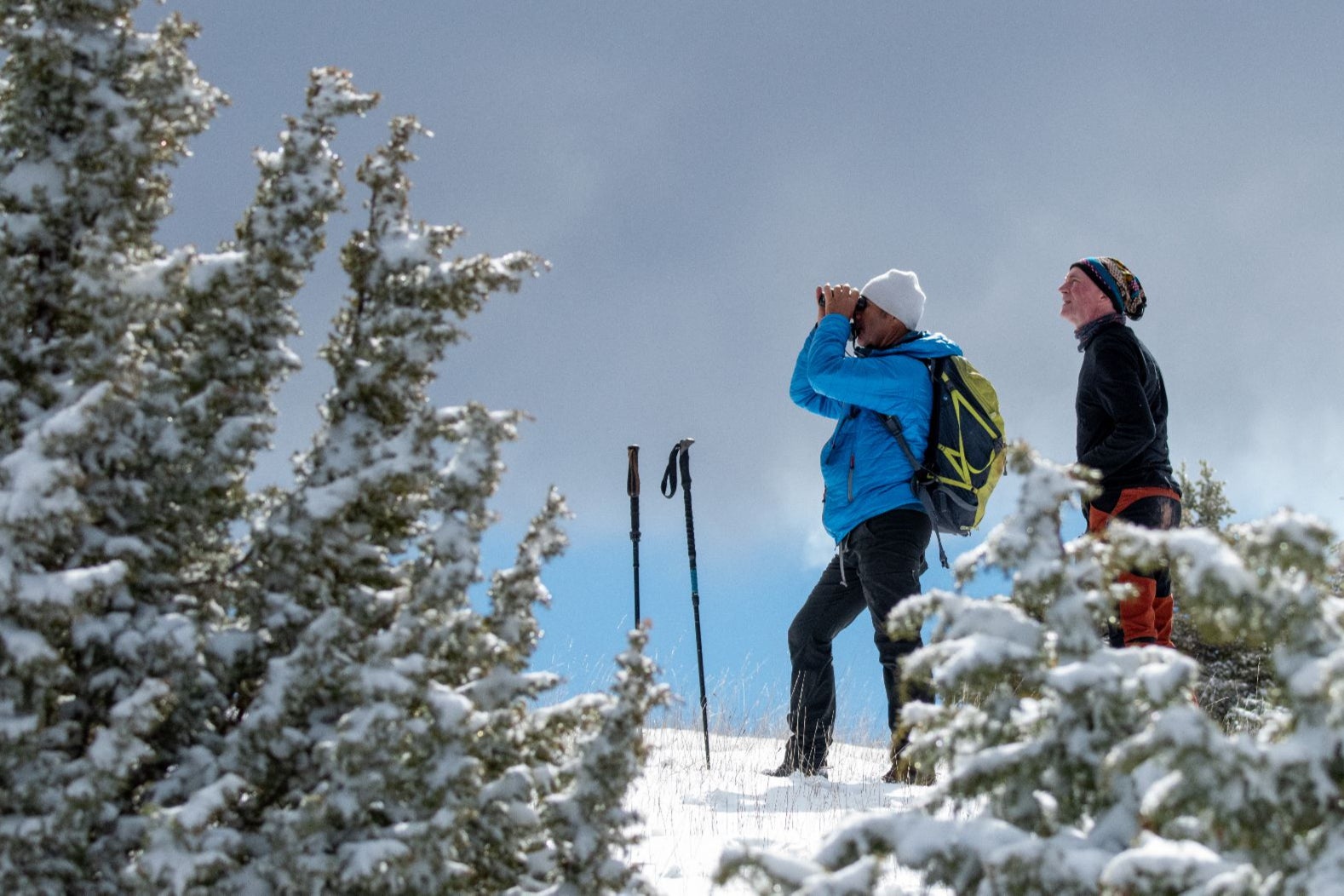 Spot all kinds of wildlife while you are not speeding down snowy hillsides