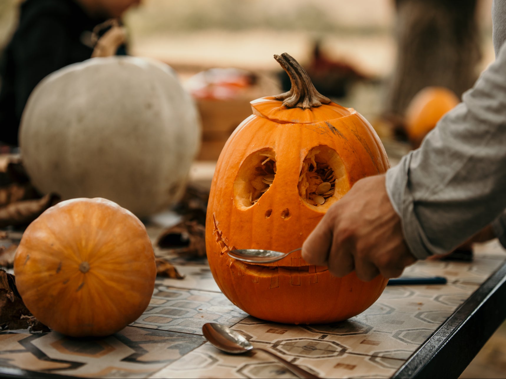 The right pumpkin should be firm, sturdy, and flat on the bottom without any gouges or scrapes