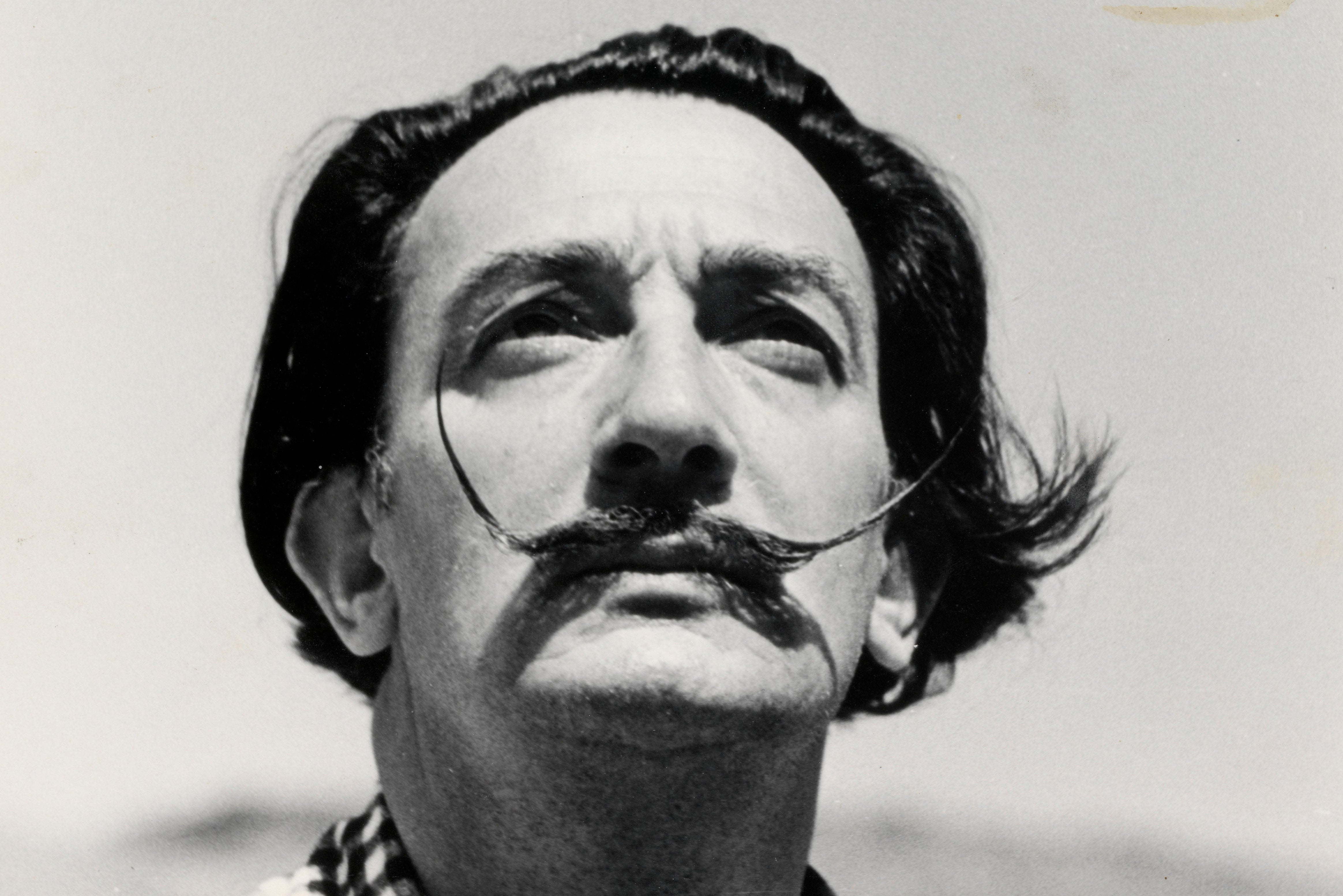 Aged 16, Salvador Dalí wrote in his diary: ‘I’m going to be a genius, a great genius, I’m certain of it’