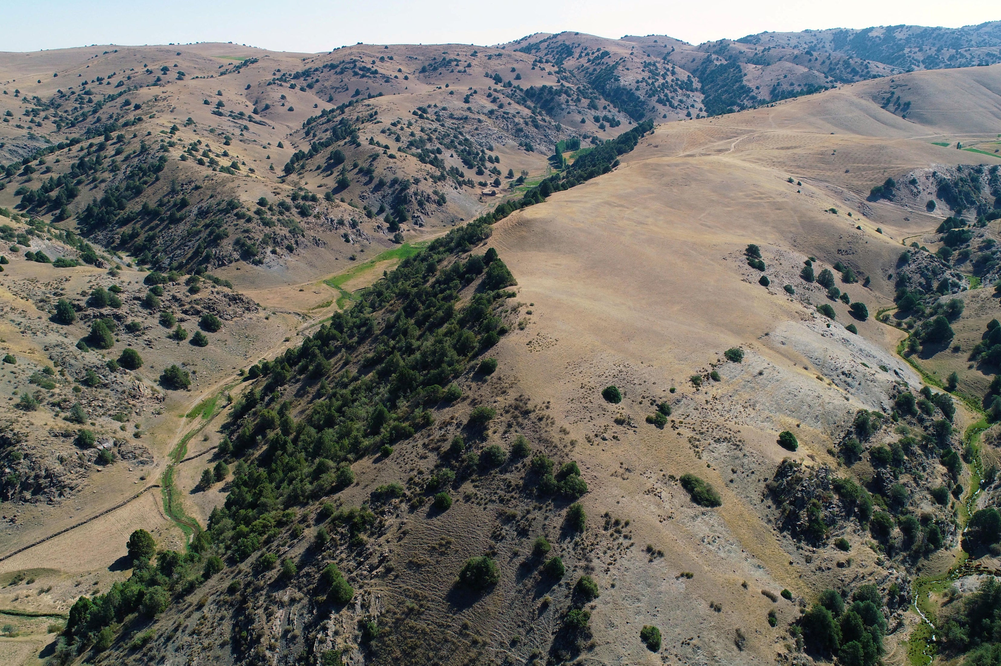 A 2018 drone photograph of a part of the newly discovered medieval Silk Road city Tugunbulak, located in the mountains of southeastern Uzbekistan