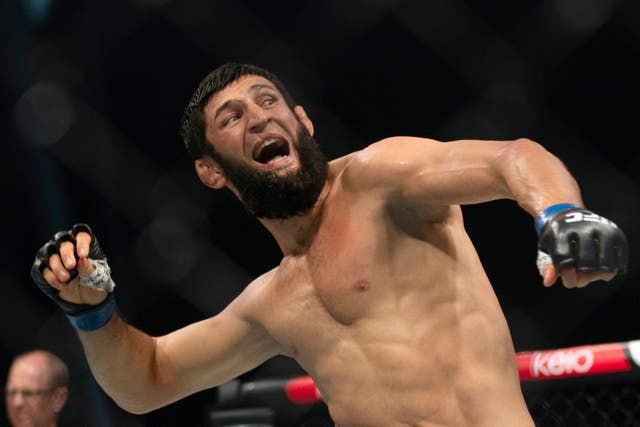 <p>Khamzat Chimaev celebrates another rapid win, at UFC 308 on Saturday </p>