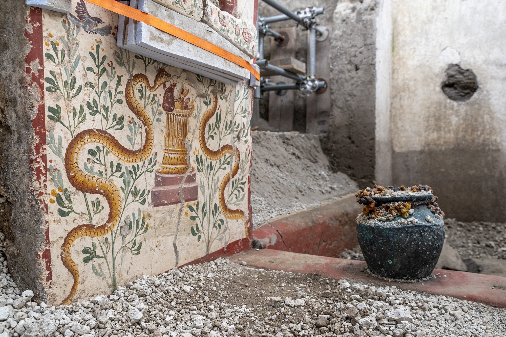 Two snakes face each other in the small house’s courtyard.