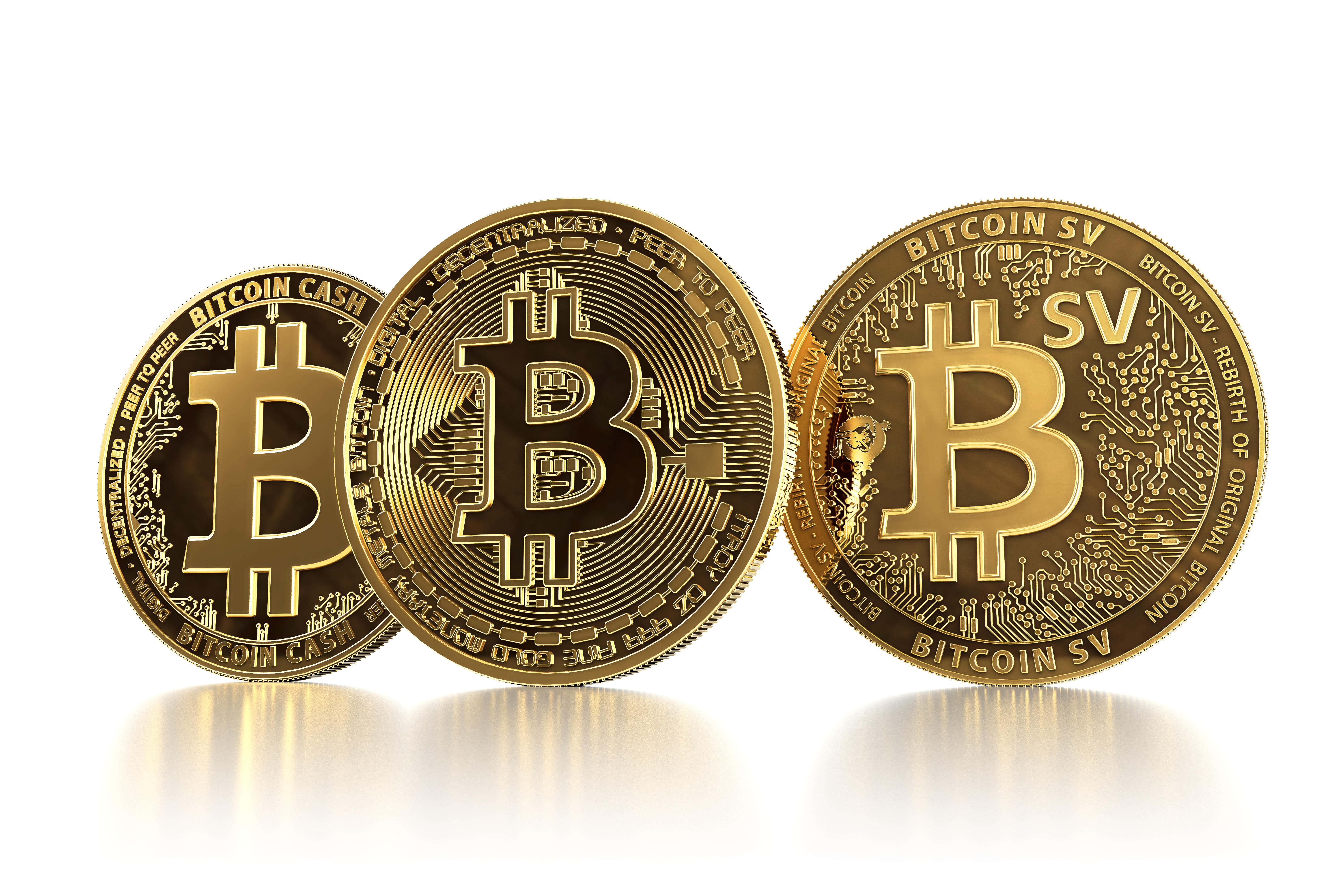 Bitcoin is the oldest and largest cryptocurrency (Alamy/PA)