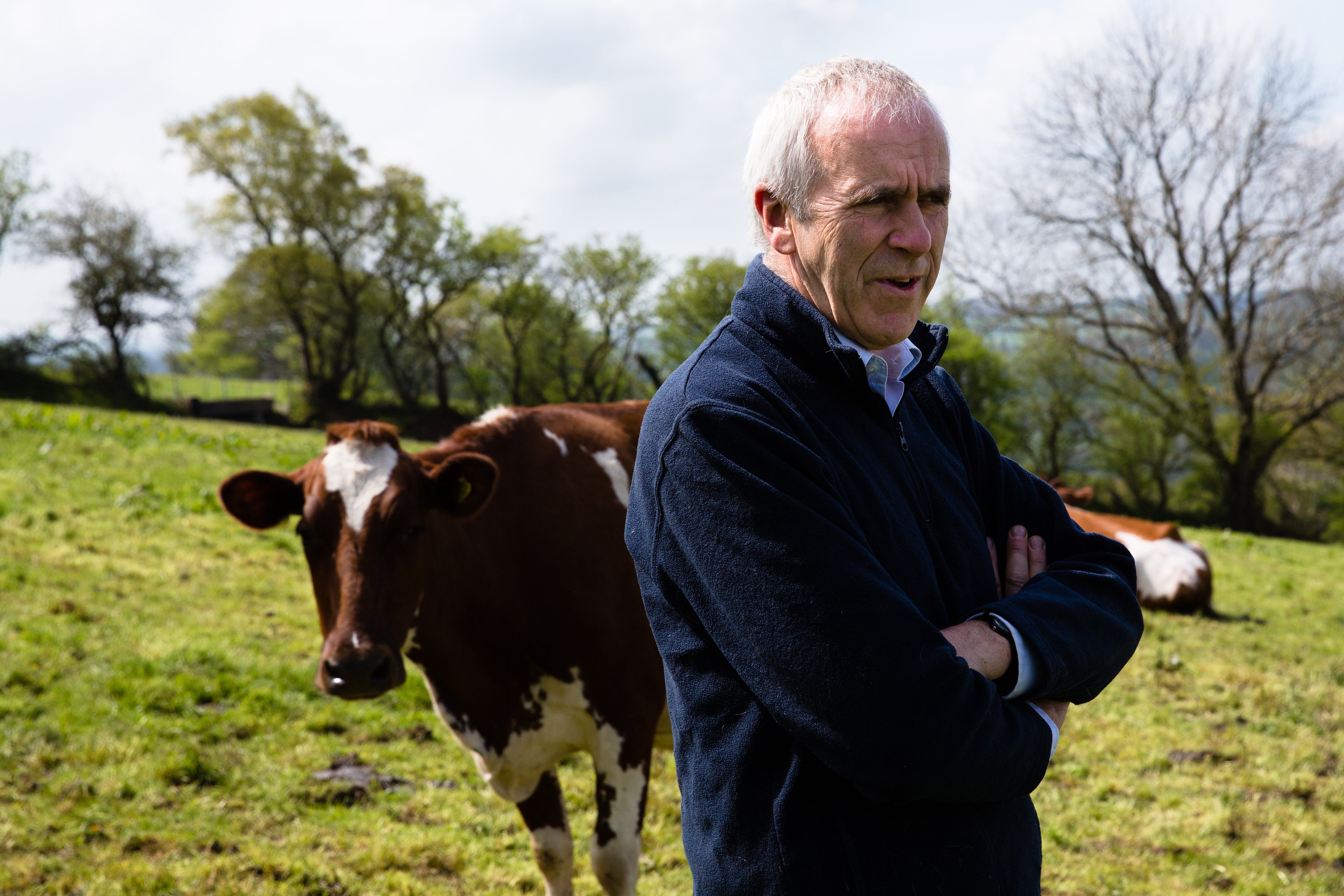 Patrick Holden poses with some of his 90-strong herd of cows