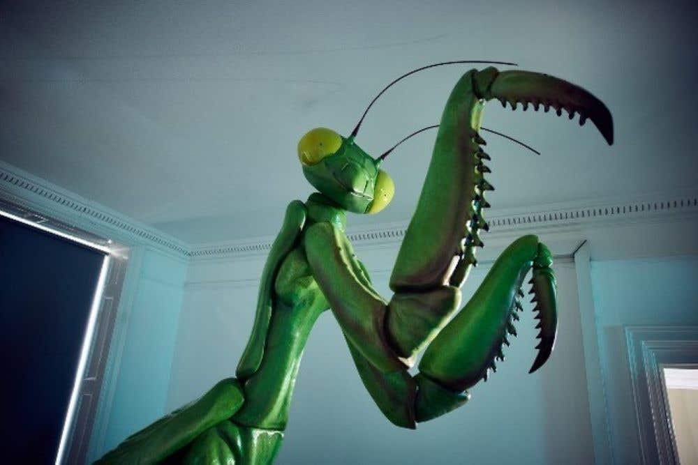 The Mantis Muse is being loaned to Beauchamp College (David Shrigley/PA)