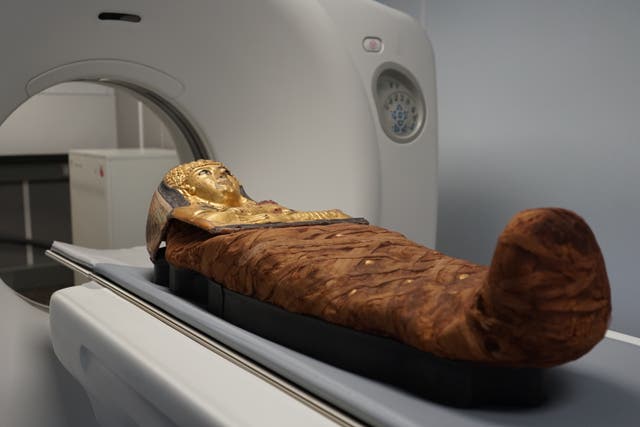 <p>Researchers at the Field Museum scan a mummified individual displayed in the Inside Ancient Egypt exhibition</p>