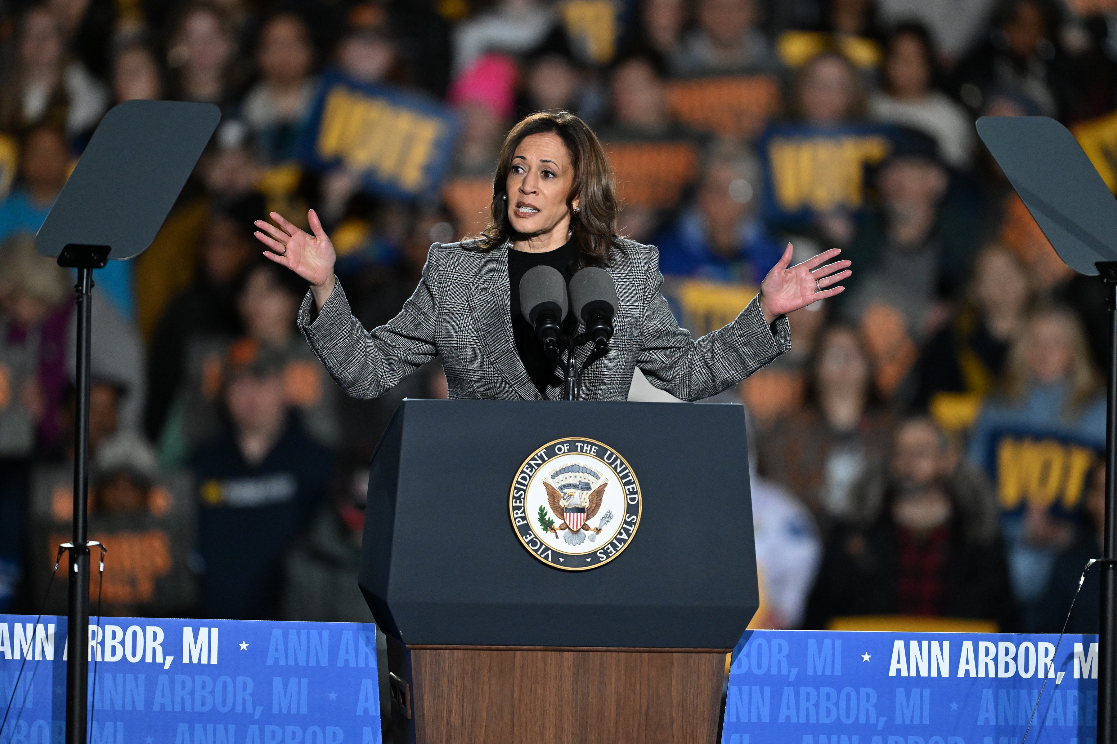 Vice President Kamala Harris addresses the crowd at her campaign rally at Burns Park in Ann Arbor, Michigan on October 28. A vulgar billboard with a fake photo of Harris posted alongside an Ohio highway has been taken down