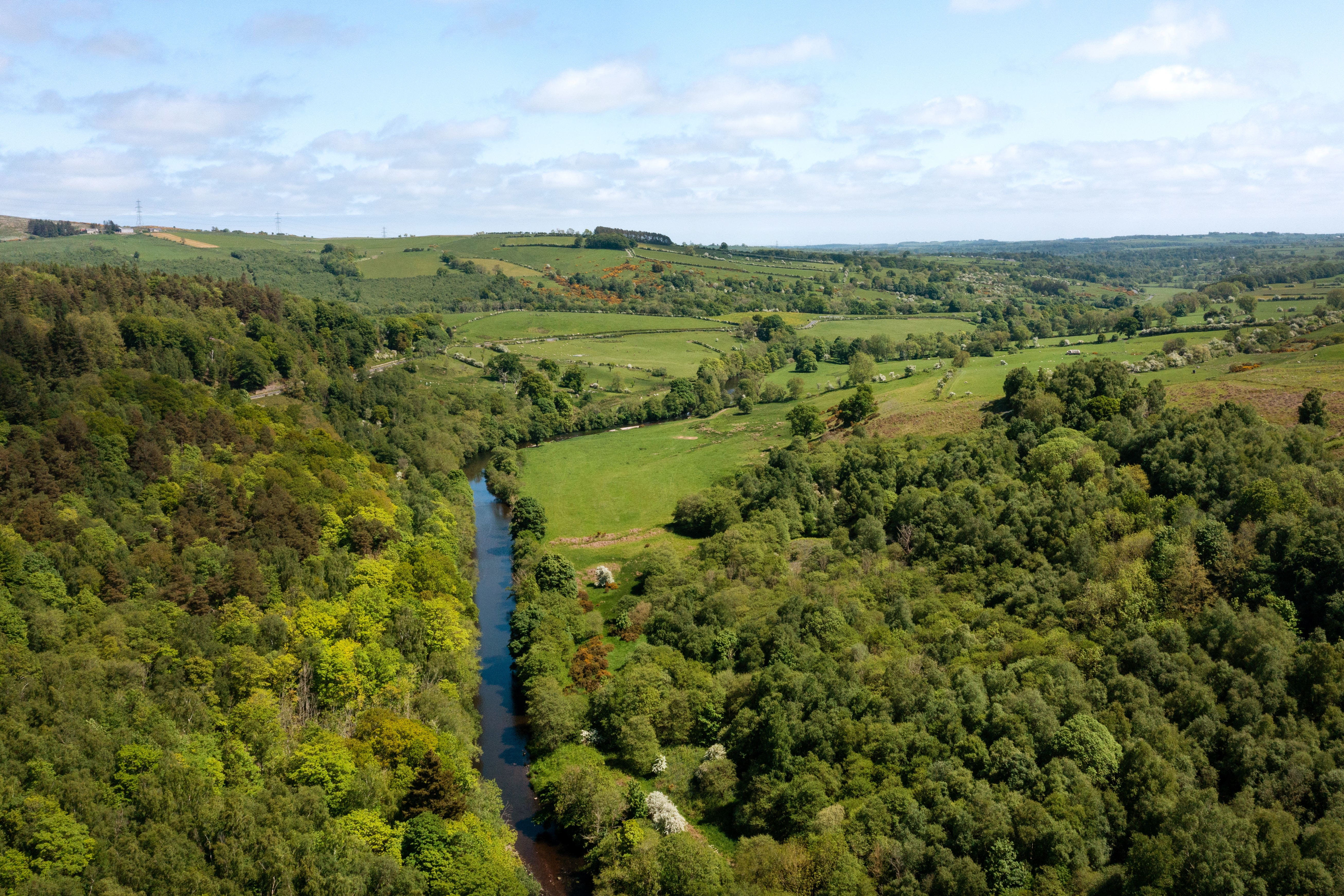 Conservationists have launched a bid to buy the Rothbury Estate in Northumberland for nature recovery. (Rothbury Estate Northumberland/Knight Frank)