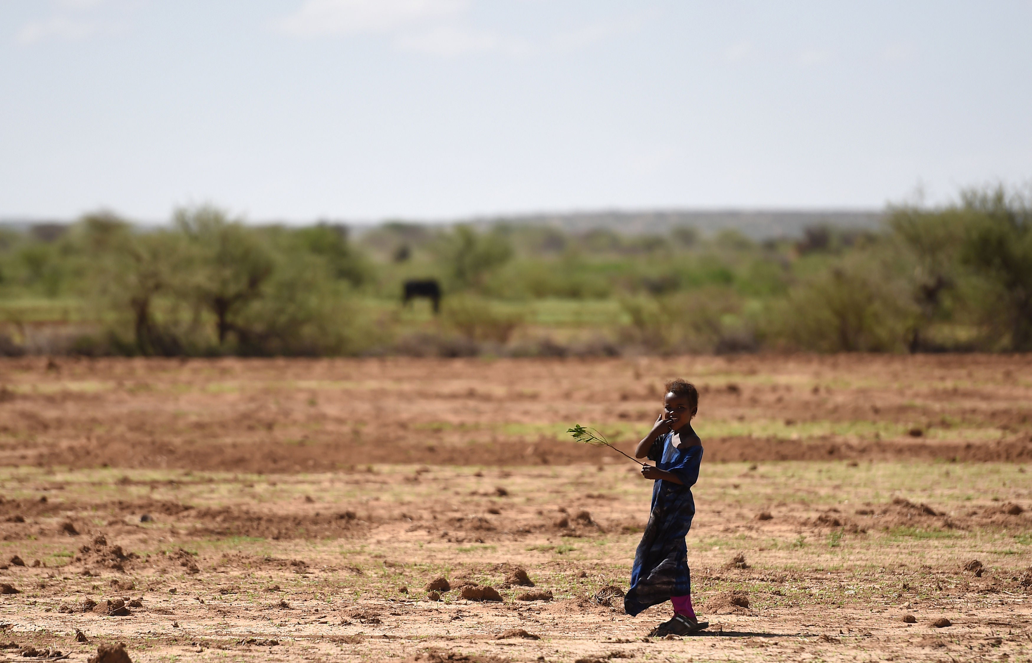 This has been a year of destructive storms and devastating heatwaves