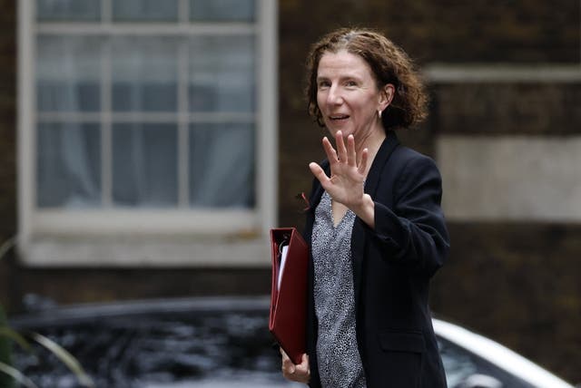 <p>International development minister Anneliese Dodds</p>