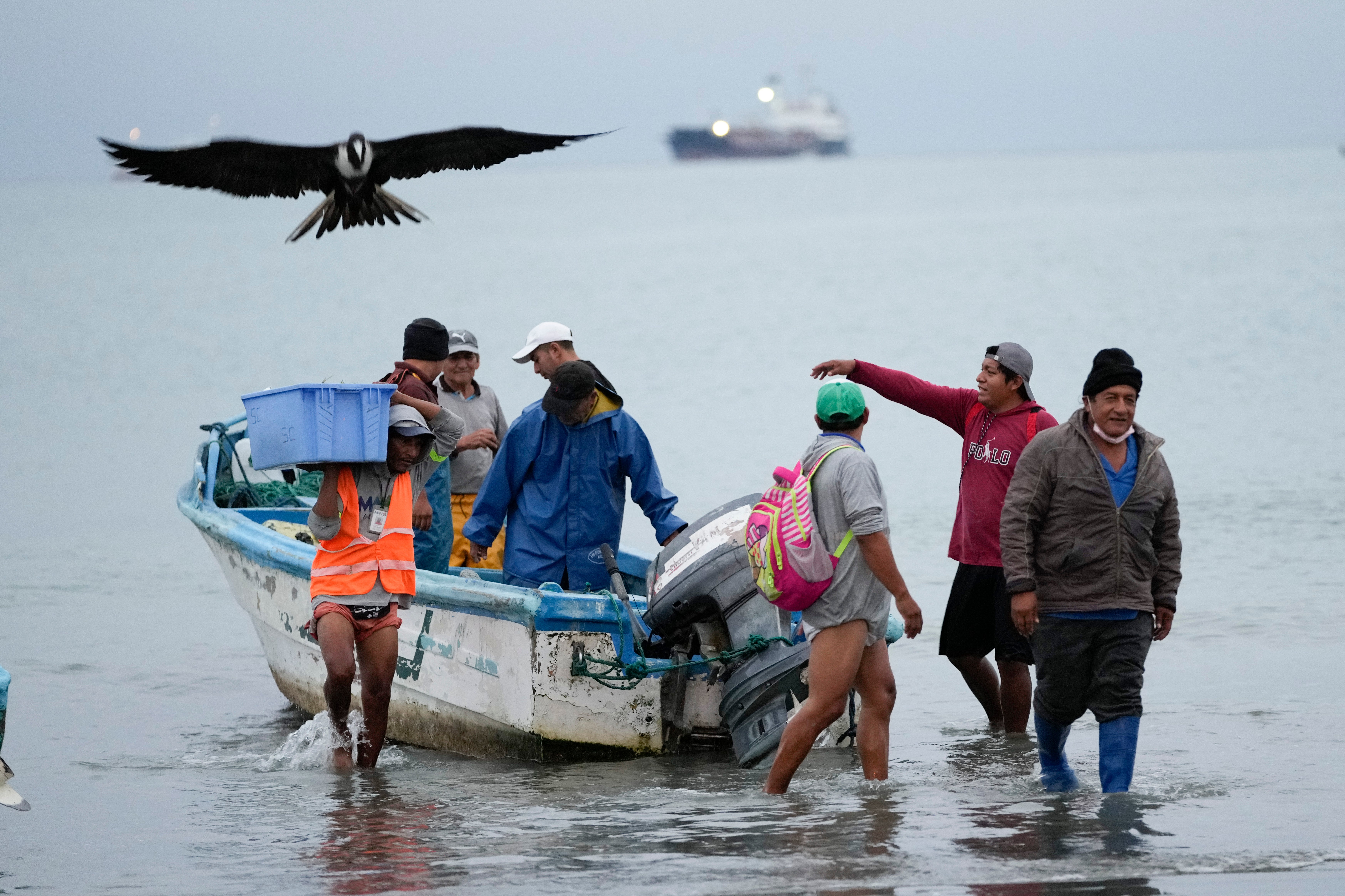 Migration Ecuador's Tailspin