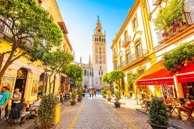 <p>Visit one of Spain’s largest still functioning bullrings or gaze at the grandiose Cathedral and Giralda tower in Seville</p>