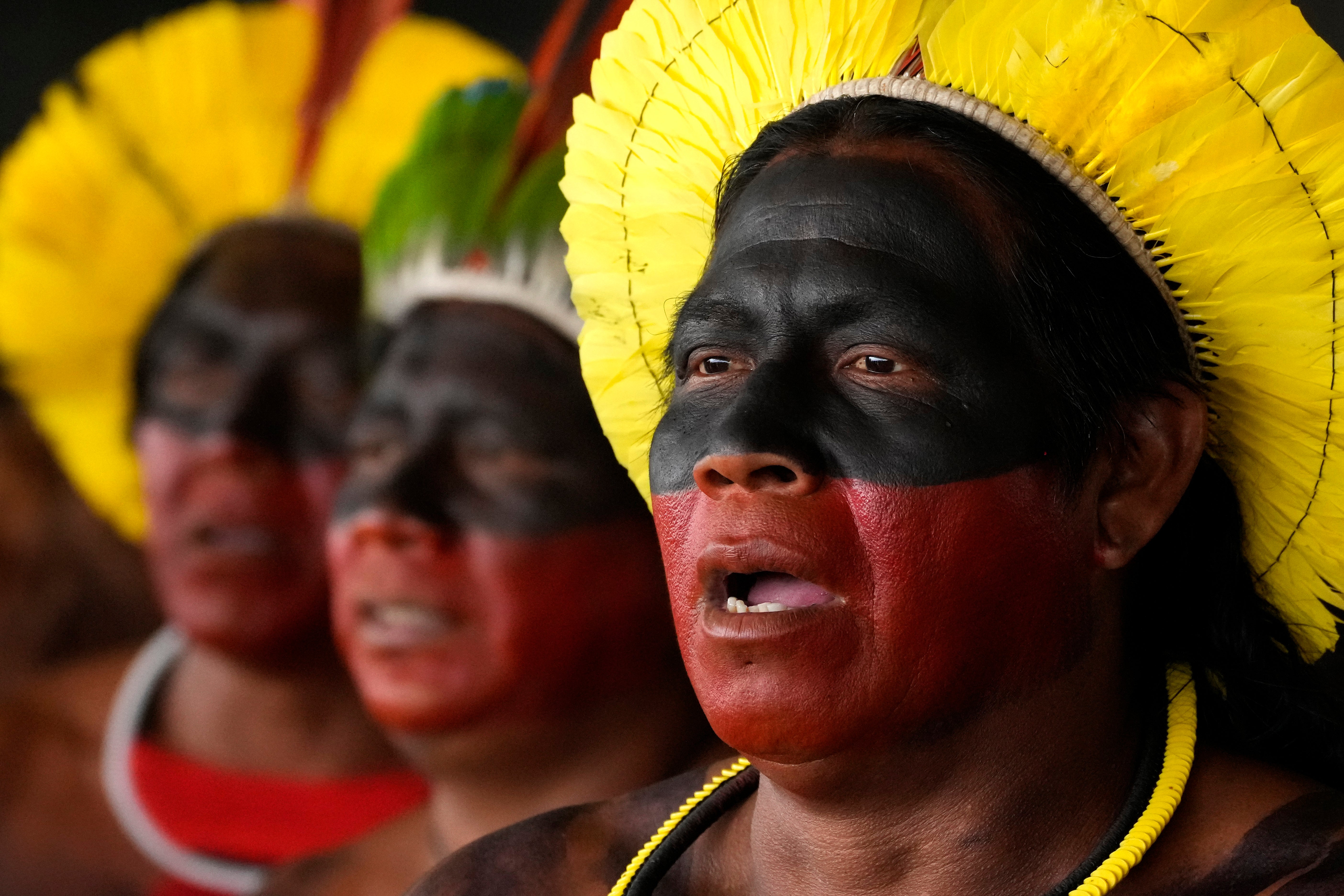 Brazil Indigenous Protest