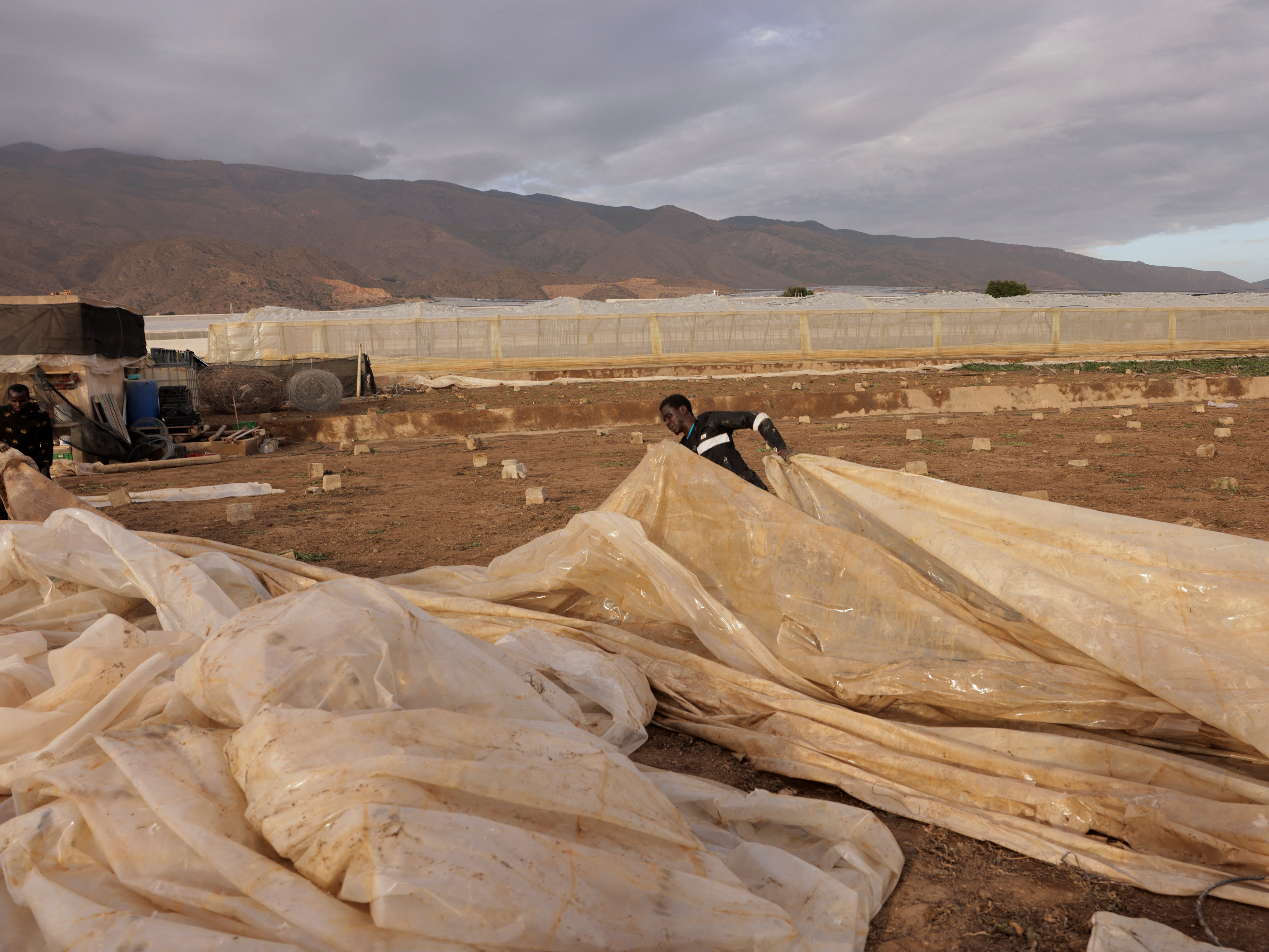 Workers remove a plastic from a damaged courgette plantation after a greenhouse was destroyed by a strong hail storm