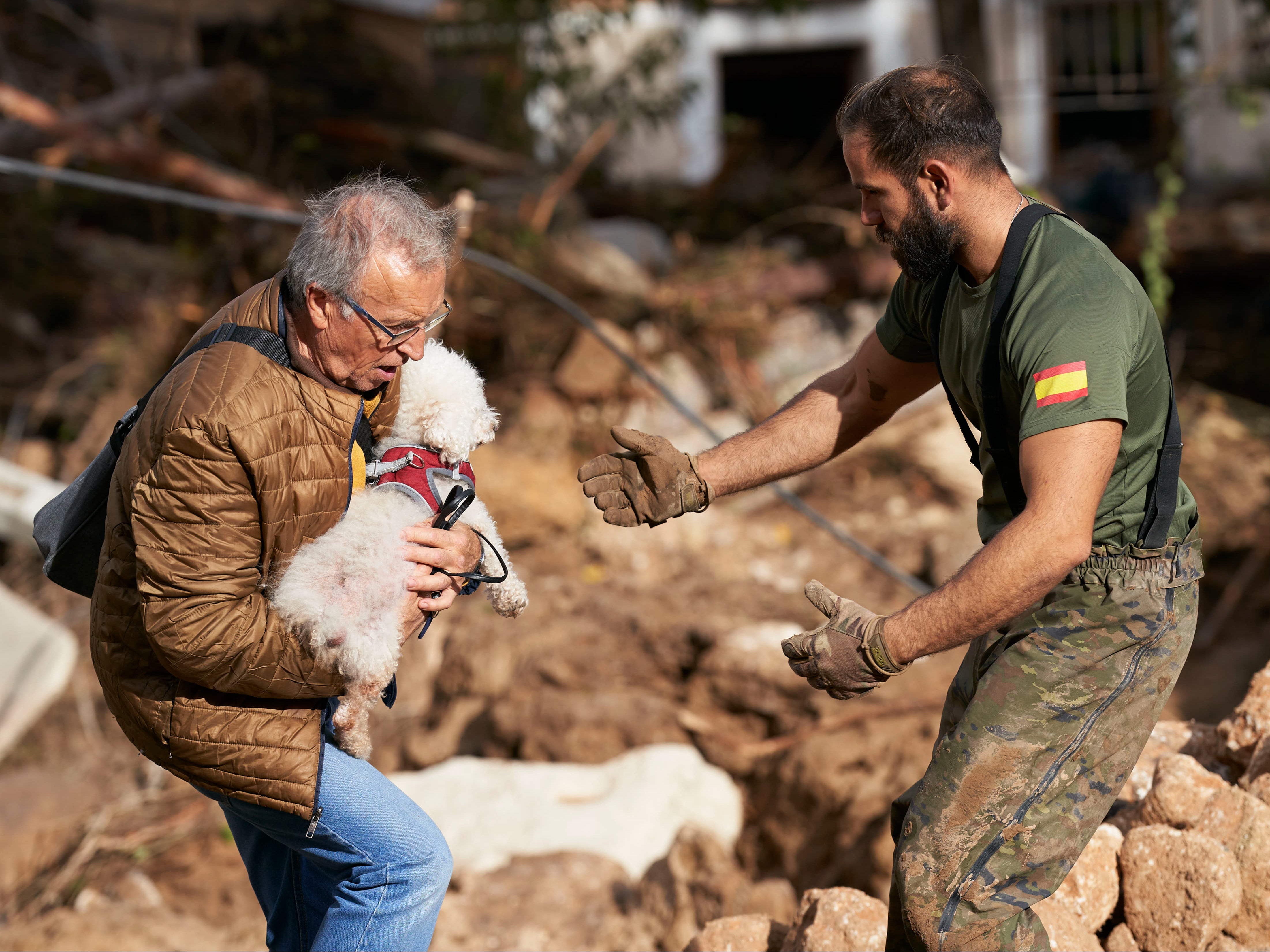 A man rescues a dog in Albacete province