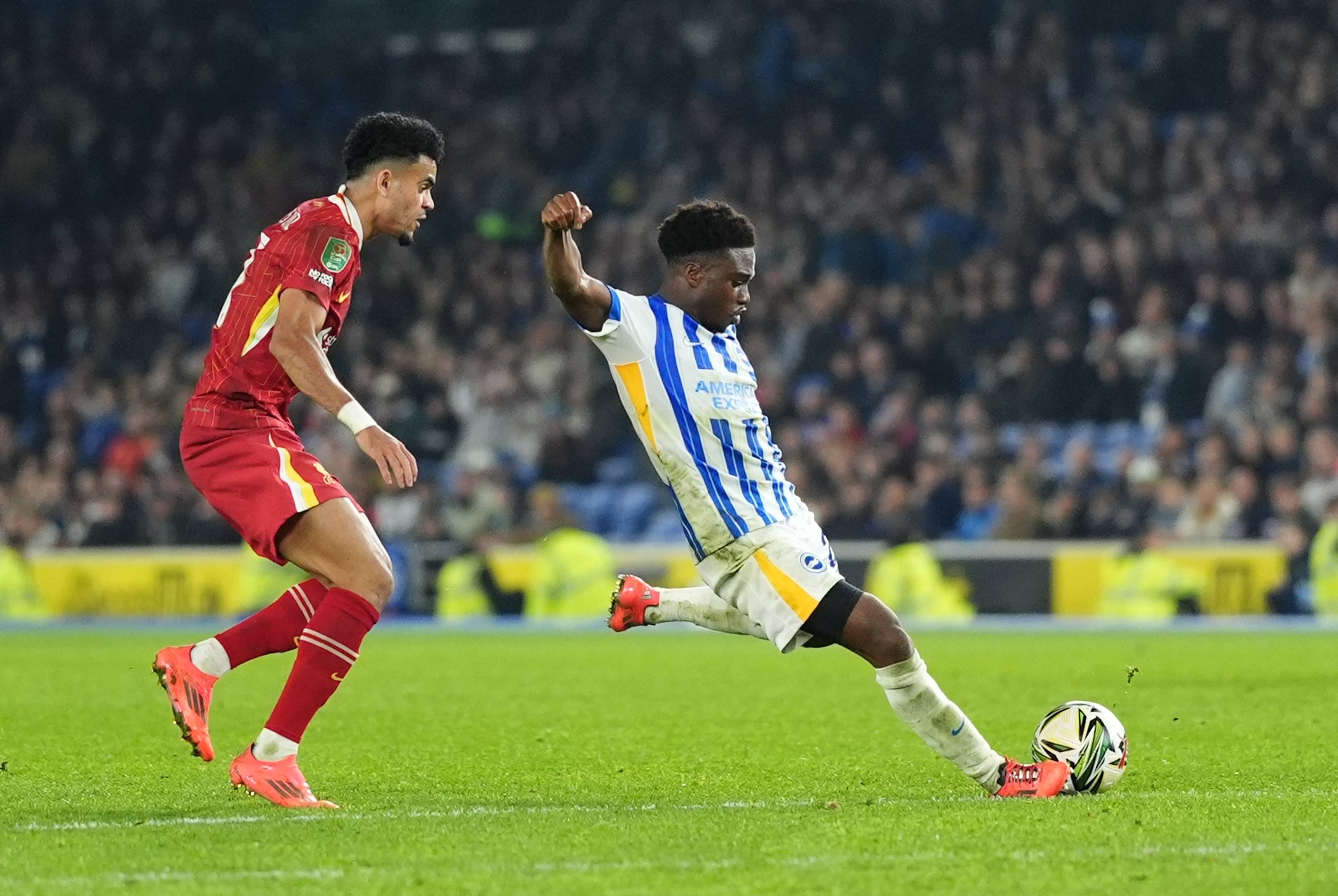 Tariq Lamptey gave Brighton late hope