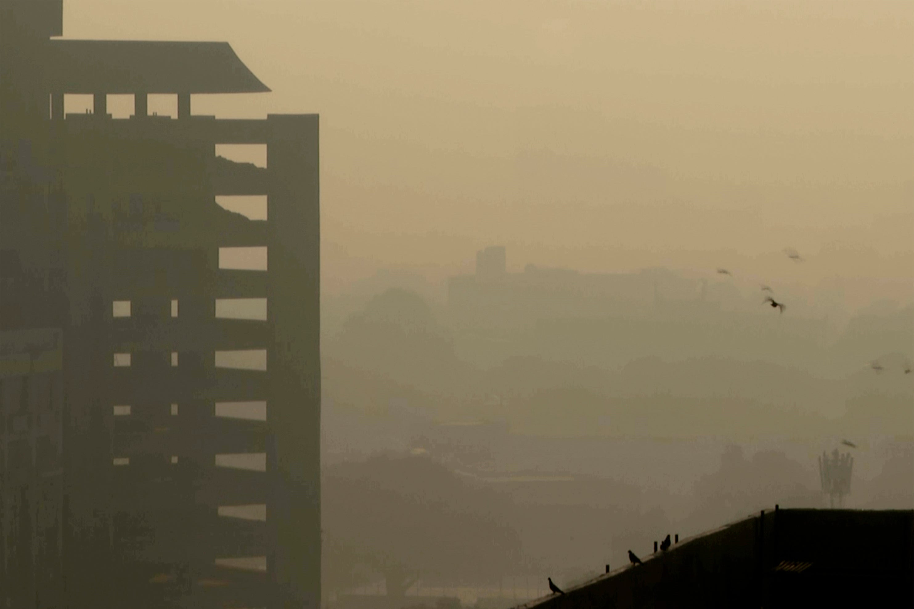 India Diwali Firecrackers