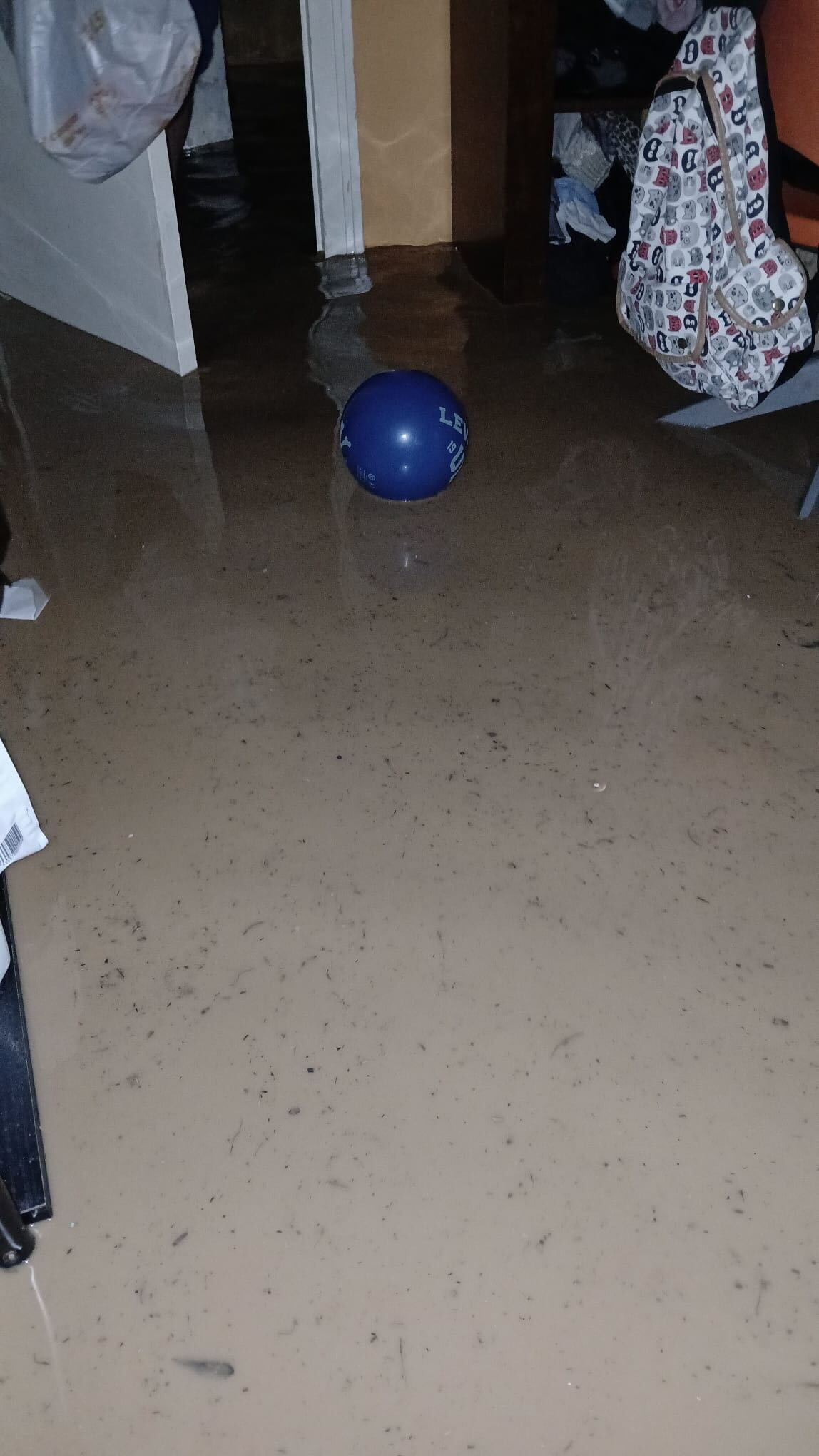 Alba’s house in Alfafar was drenched in two metres of water after the storm hit