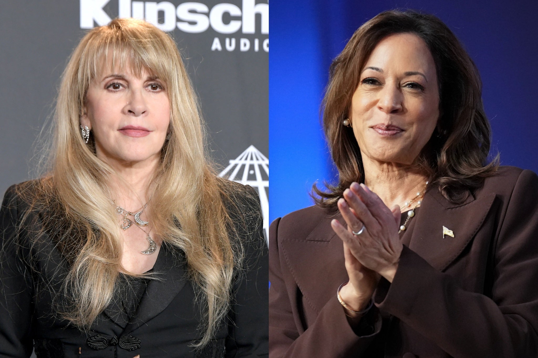 Stevie Nicks endorses Kamala Harris in the 2024 presidential election