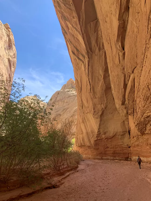 Spring Canyon is described as a ‘deep and narrow’ canyon with varying terrains that are prone to frequent weather change