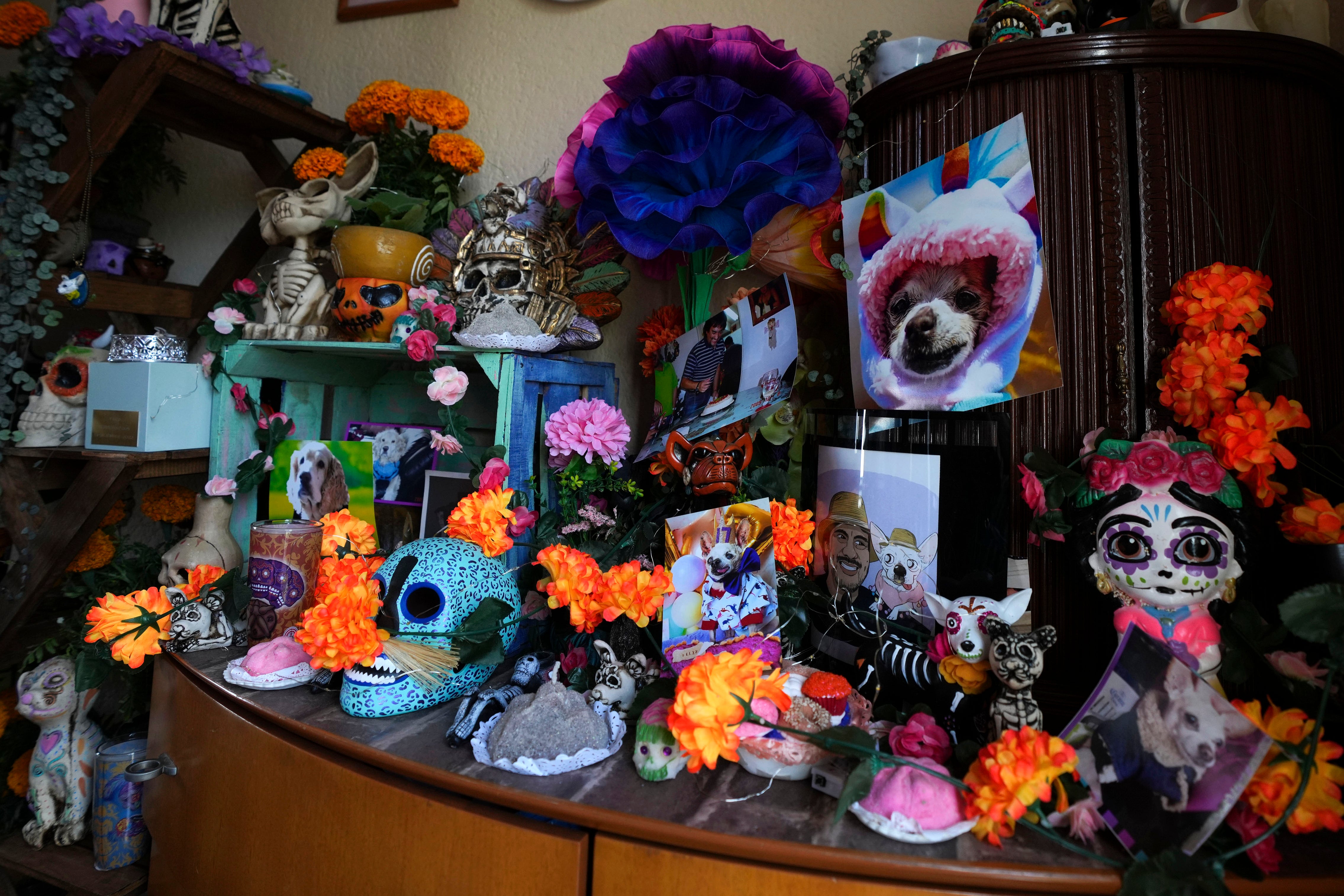 Mexico Day of the Dead Pets
