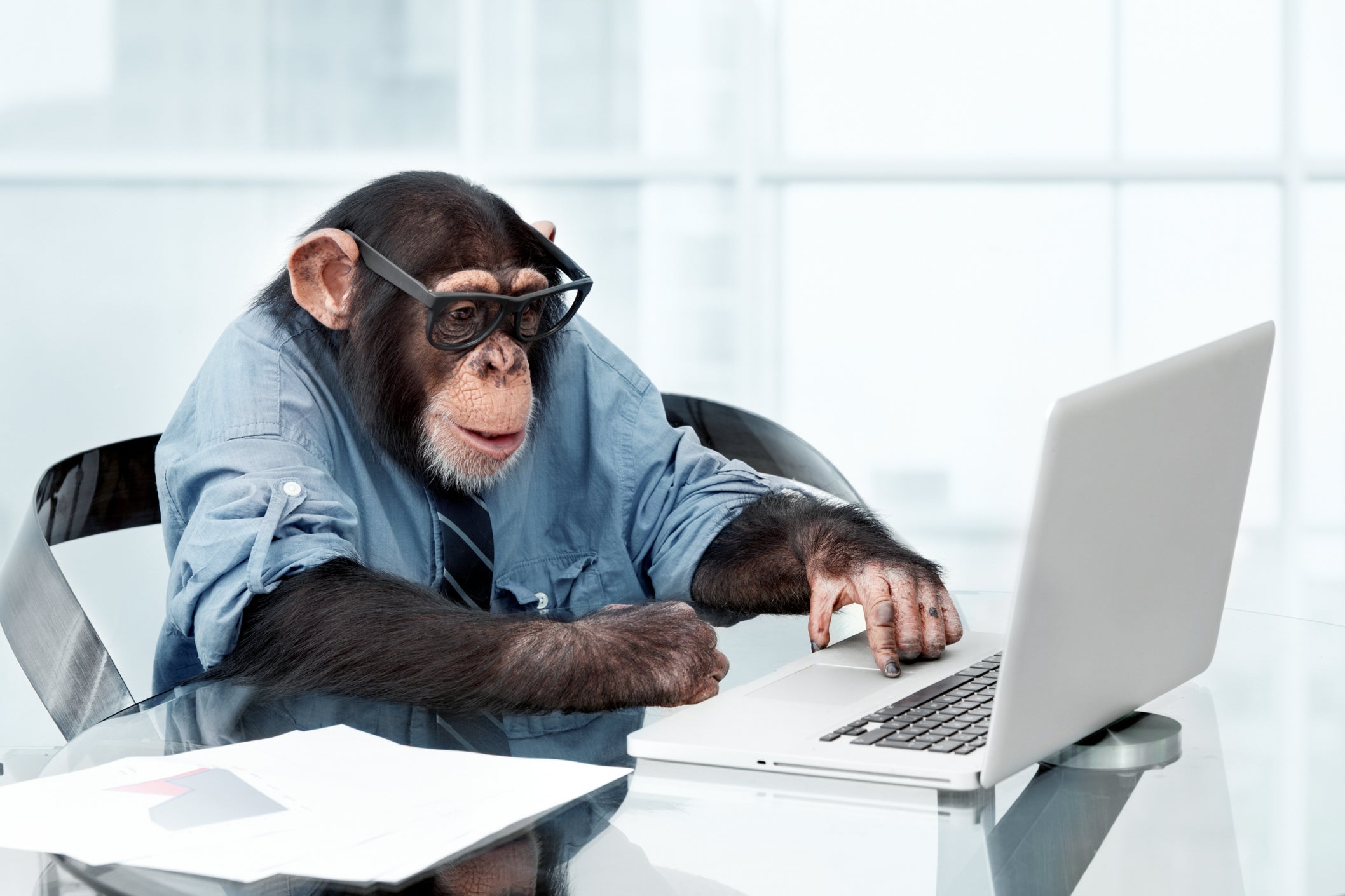 Chances of a 200,000-strong population of monkeys typing until the heat death of the universe creating works of Shakespeare are vanishingly small