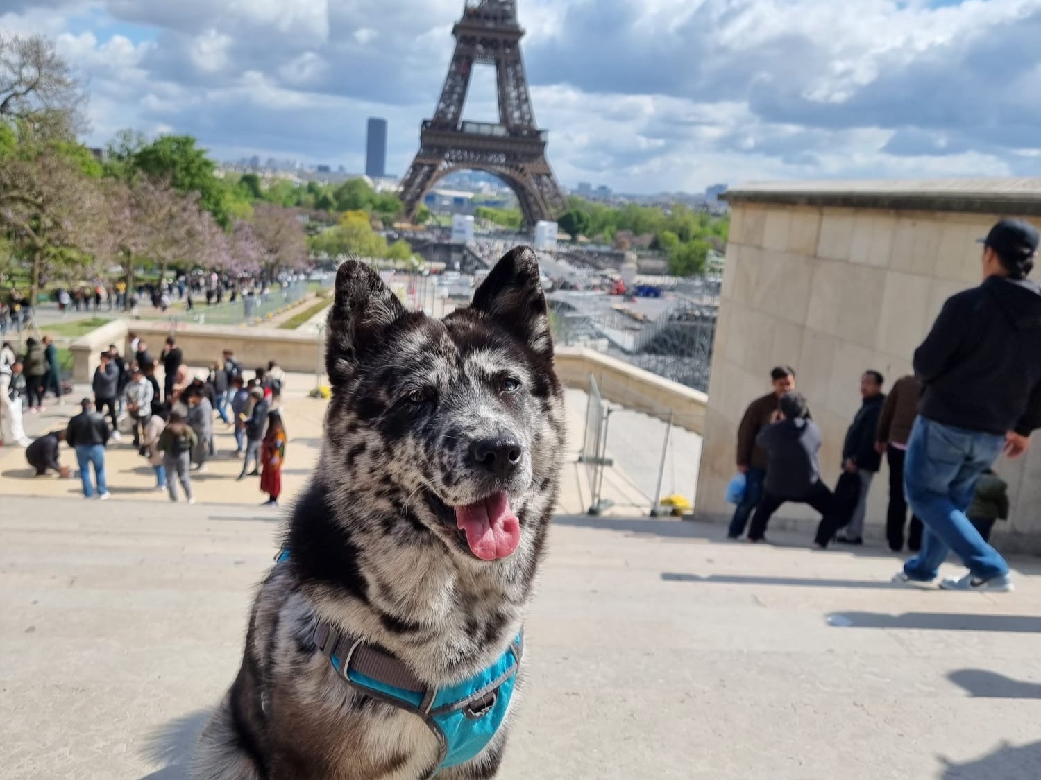 Bijoux on a visit to the Eiffel Tower before her tragic passing