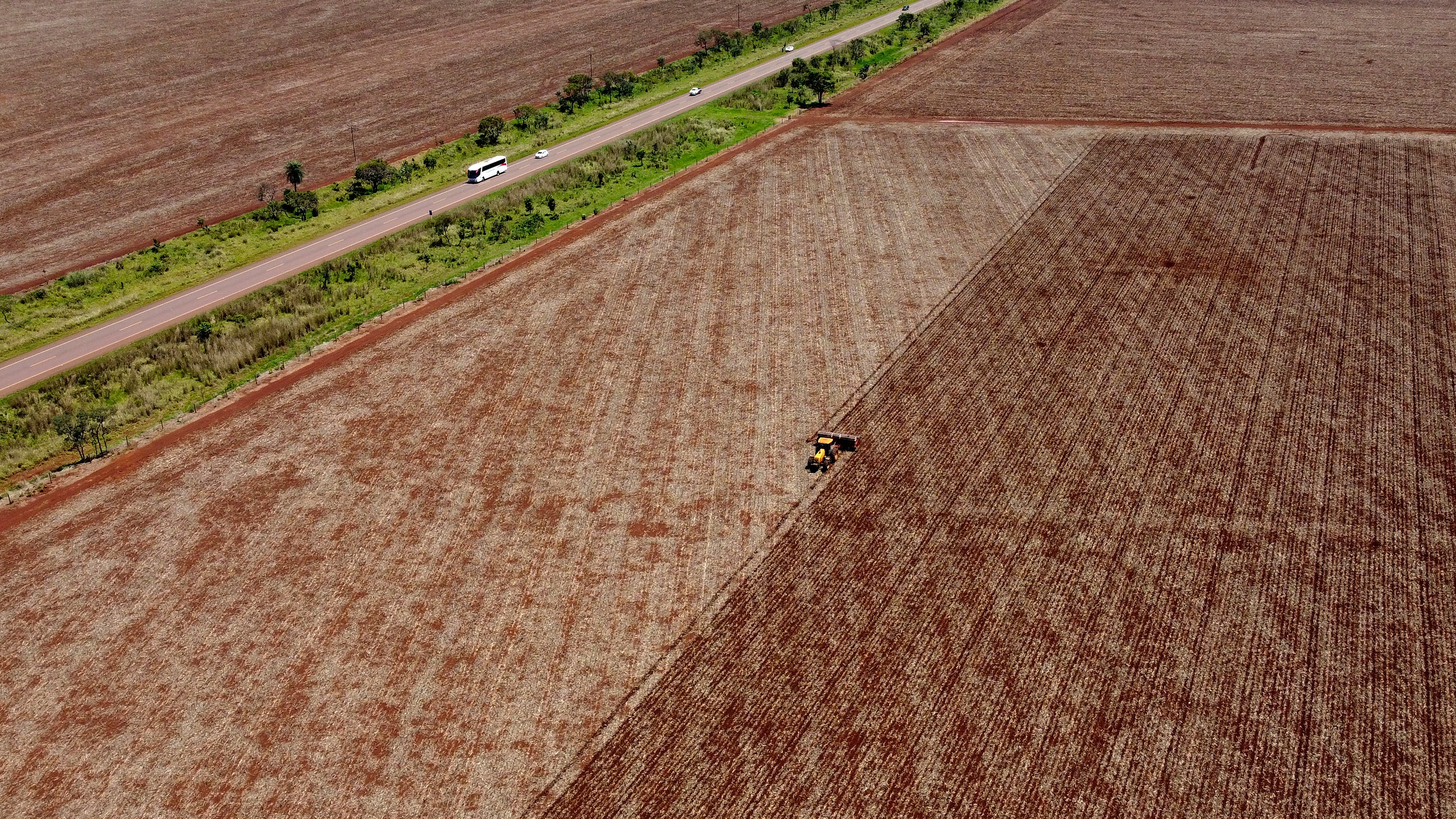 Brazil Forest Soy