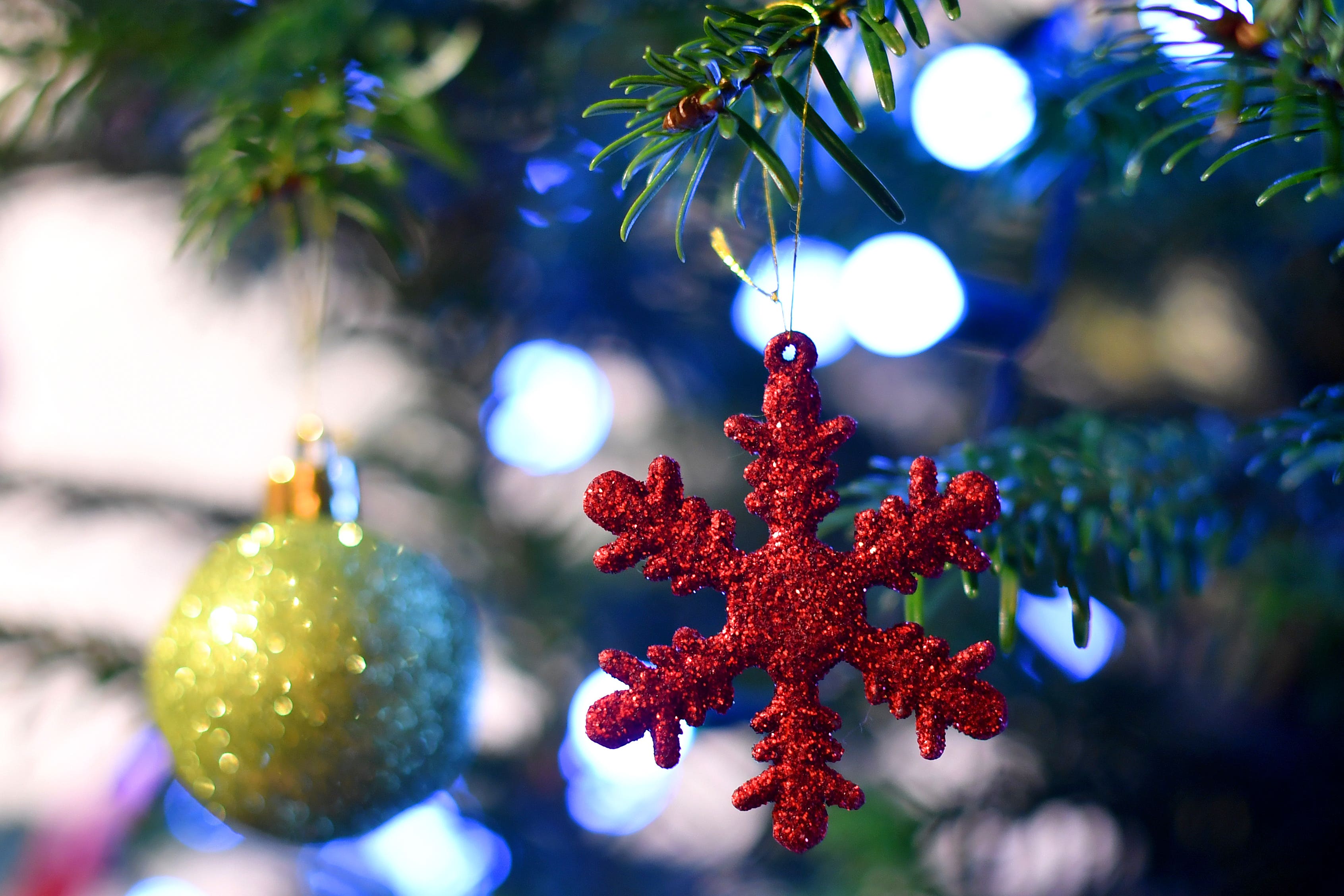 This year’s Covent Garden Christmas tree will be unveiled to the public on November 12 (PA)